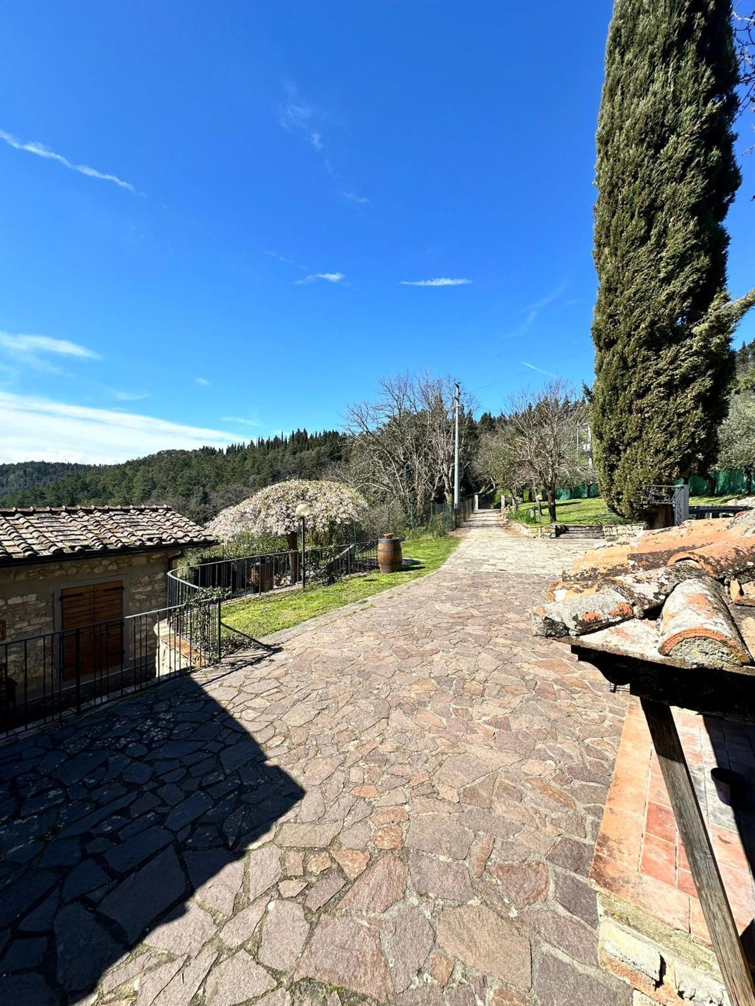 Agriturismo Tassinaia
