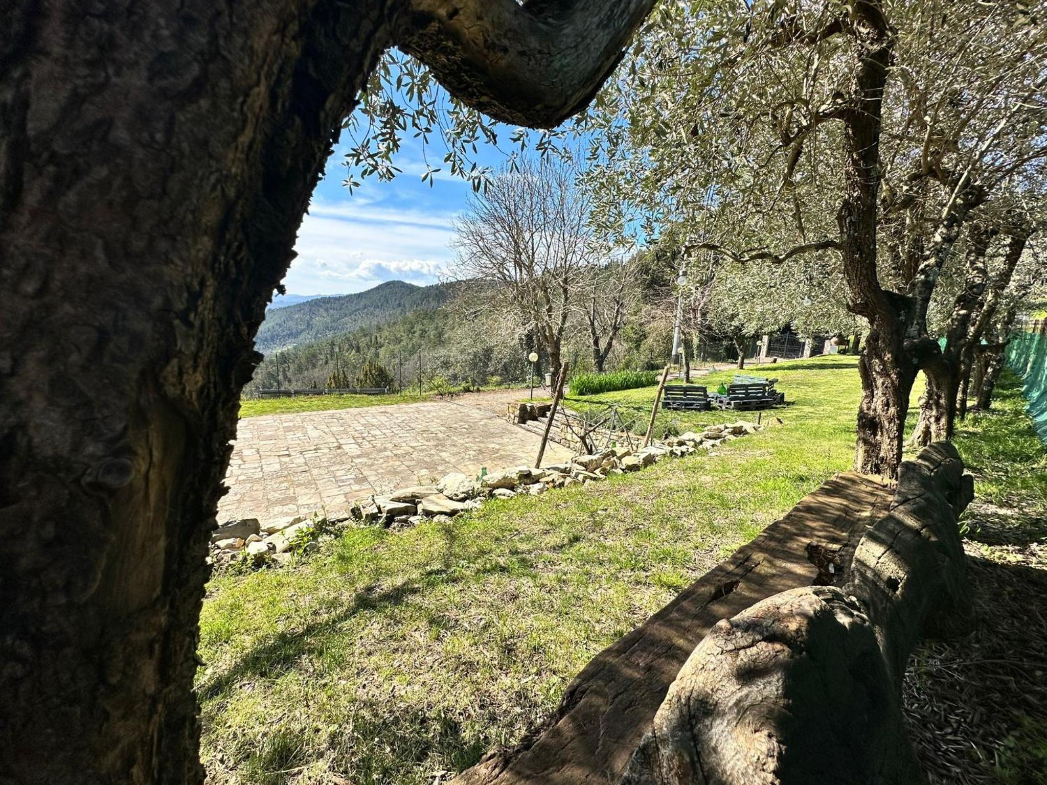 Agriturismo Tassinaia