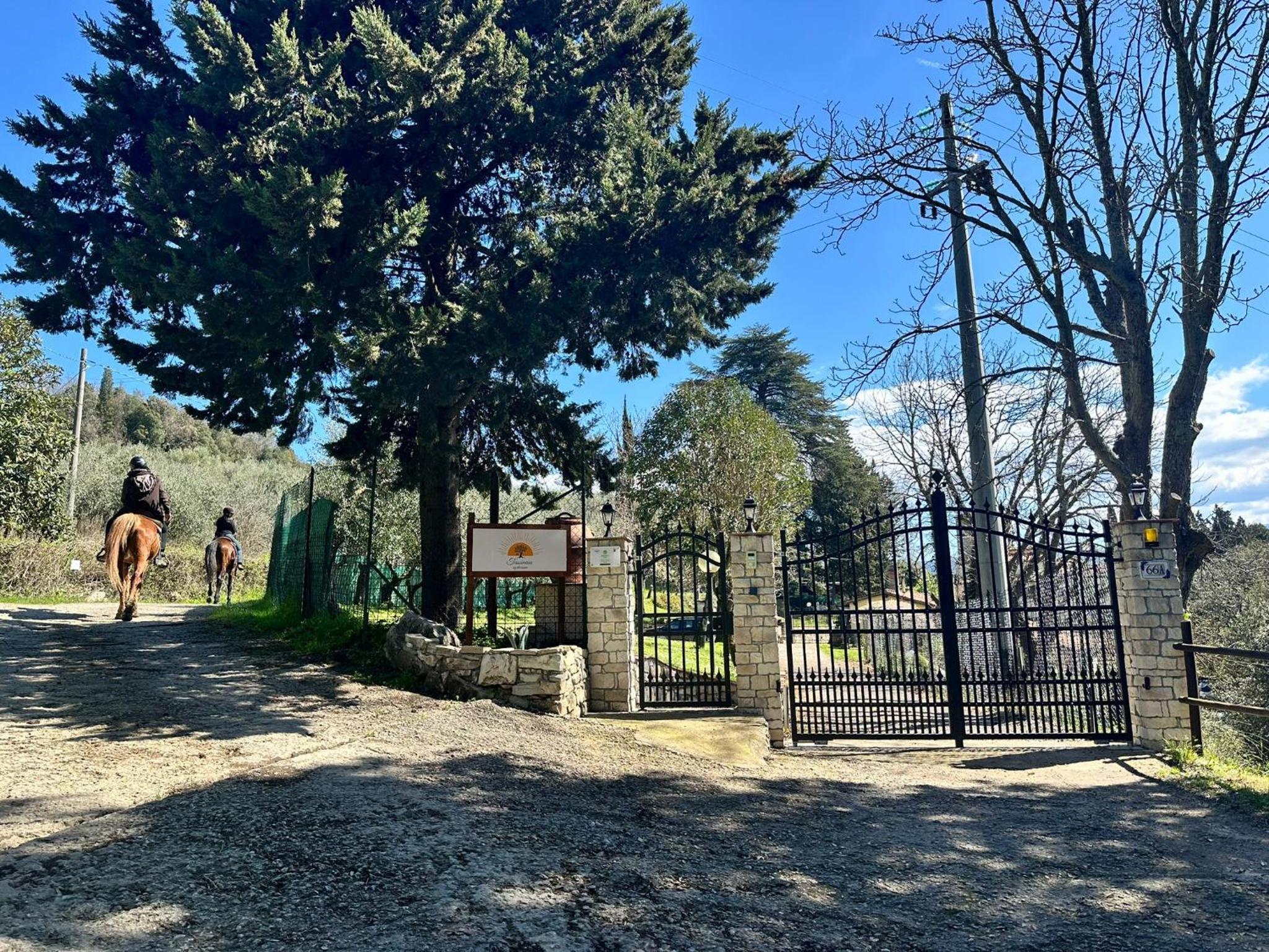 Agriturismo Tassinaia