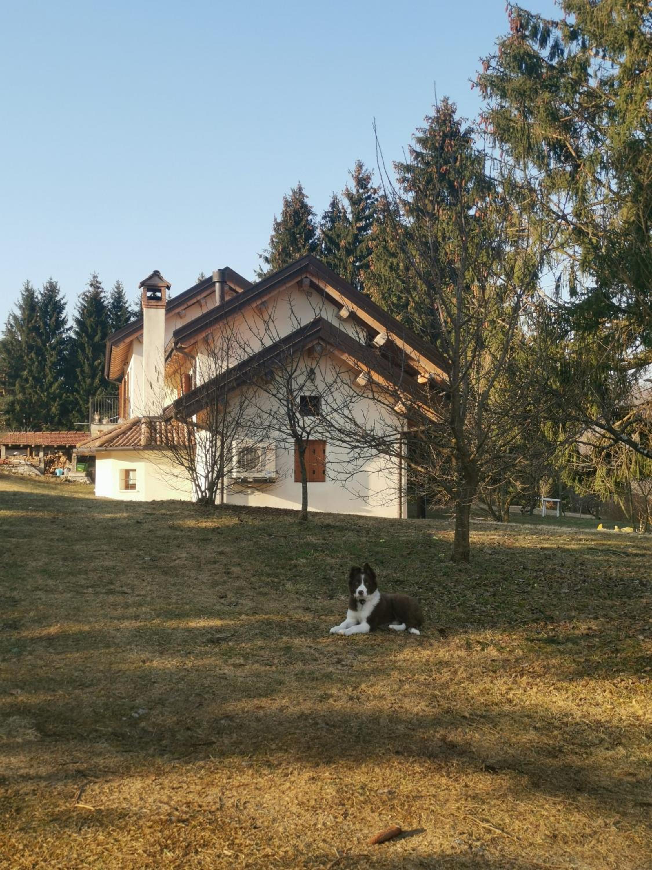 Il Rosmarino view 4