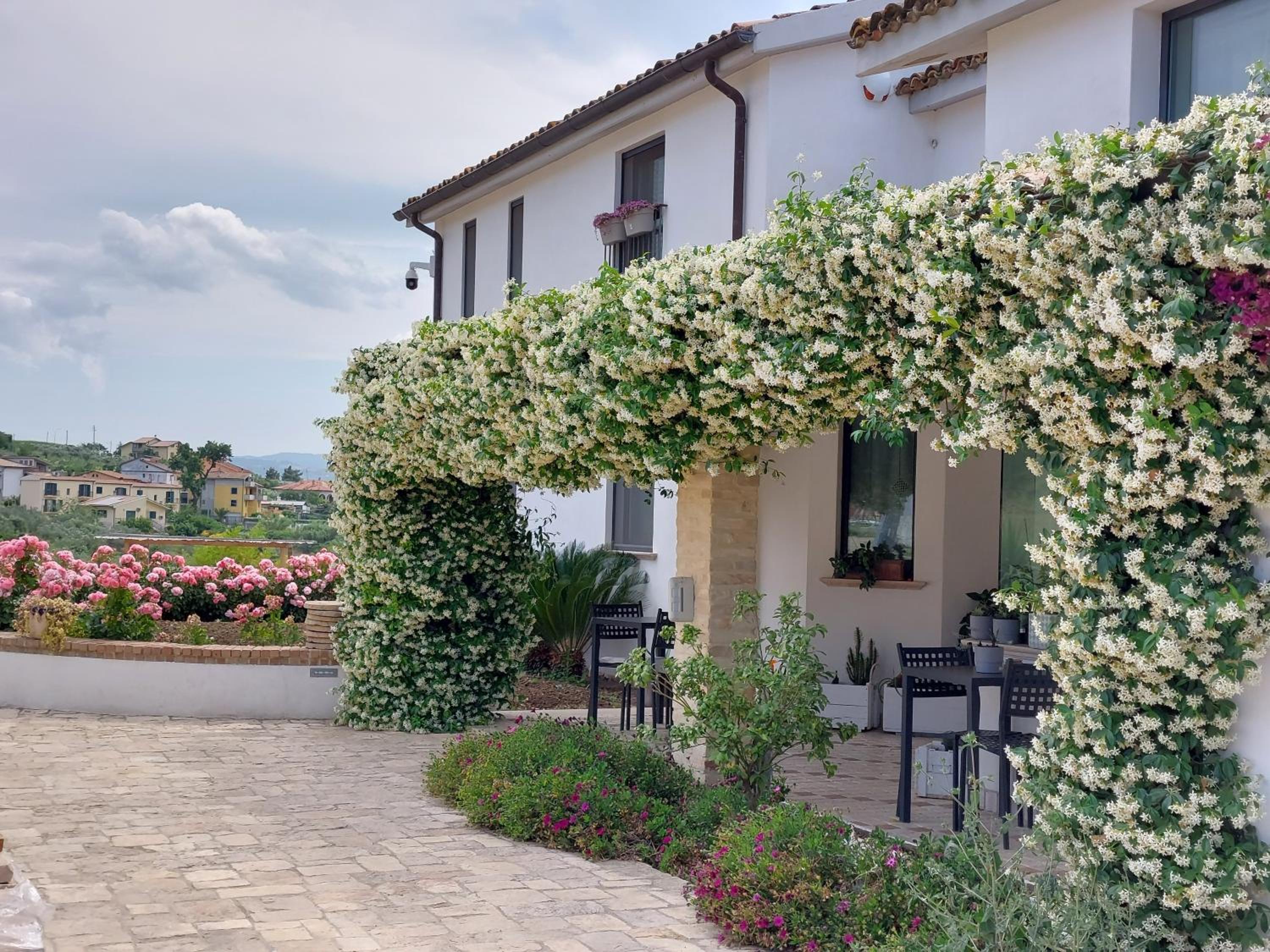 Villaggio Cristina view 3