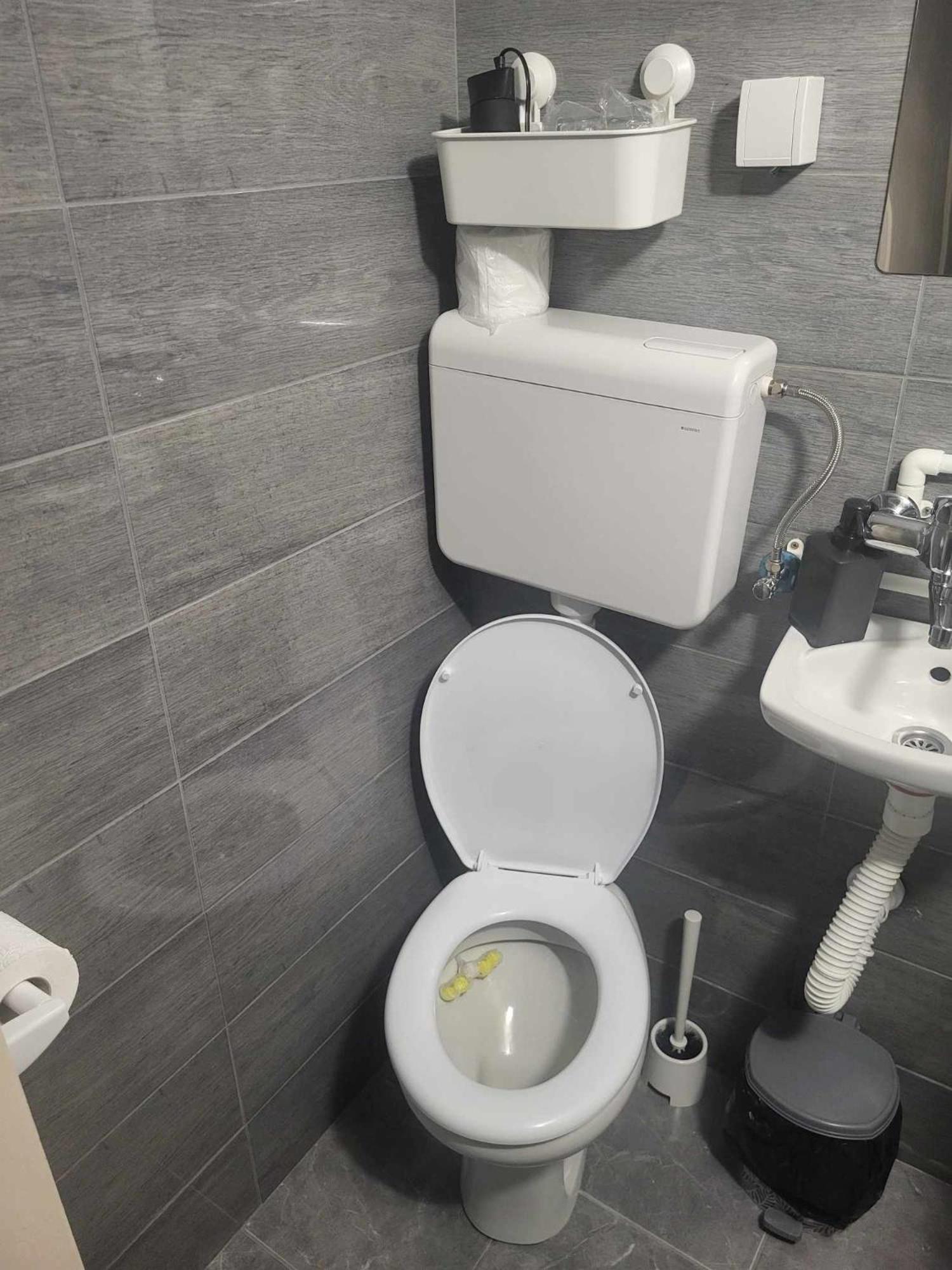 Apartman Djokic 2 view 5