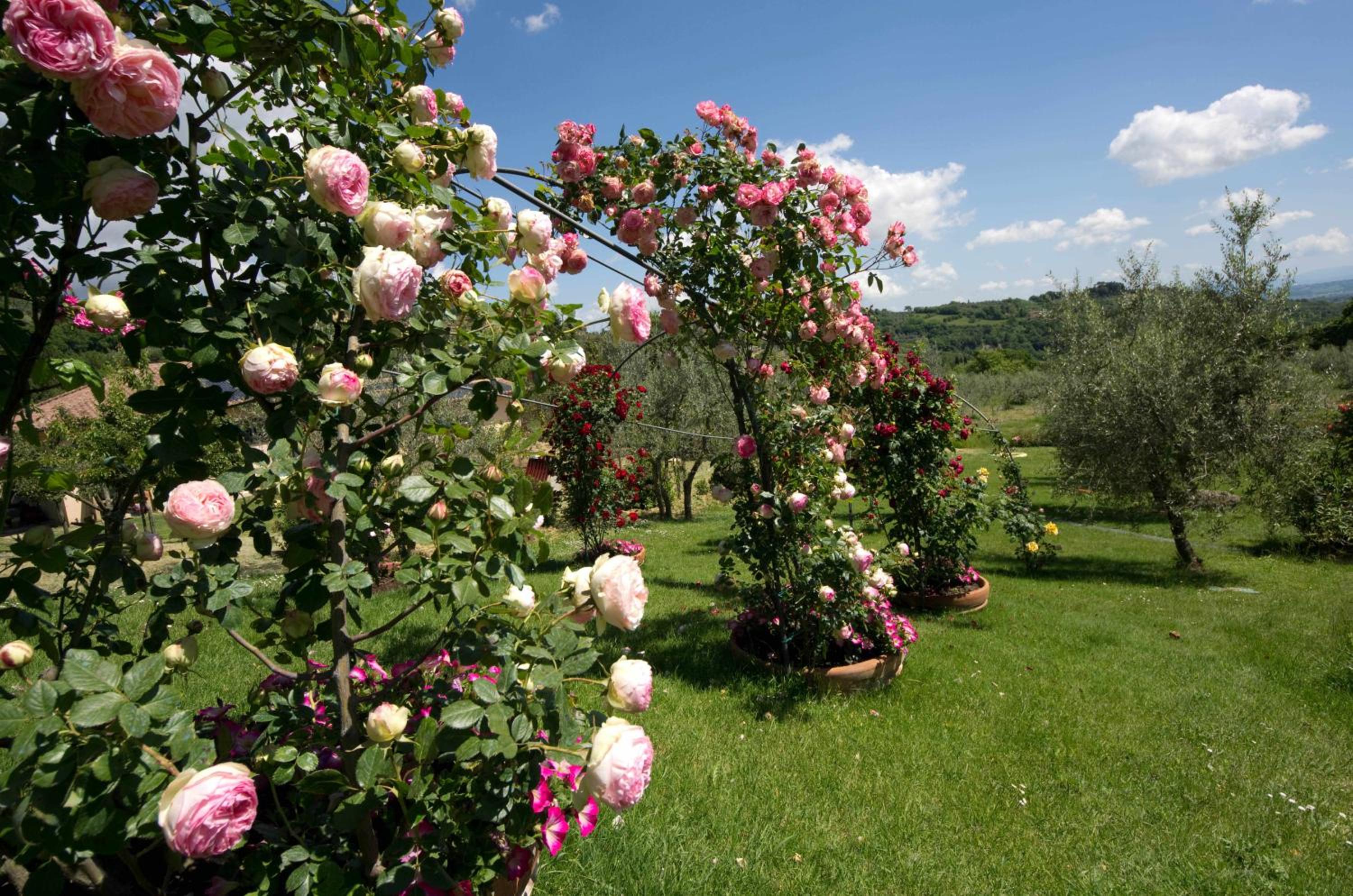 Villa Cozzani view 4