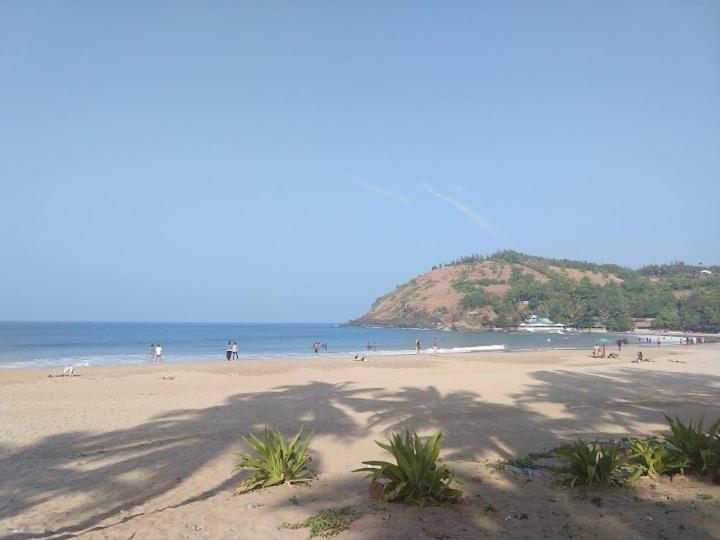 Bindhya Huts
