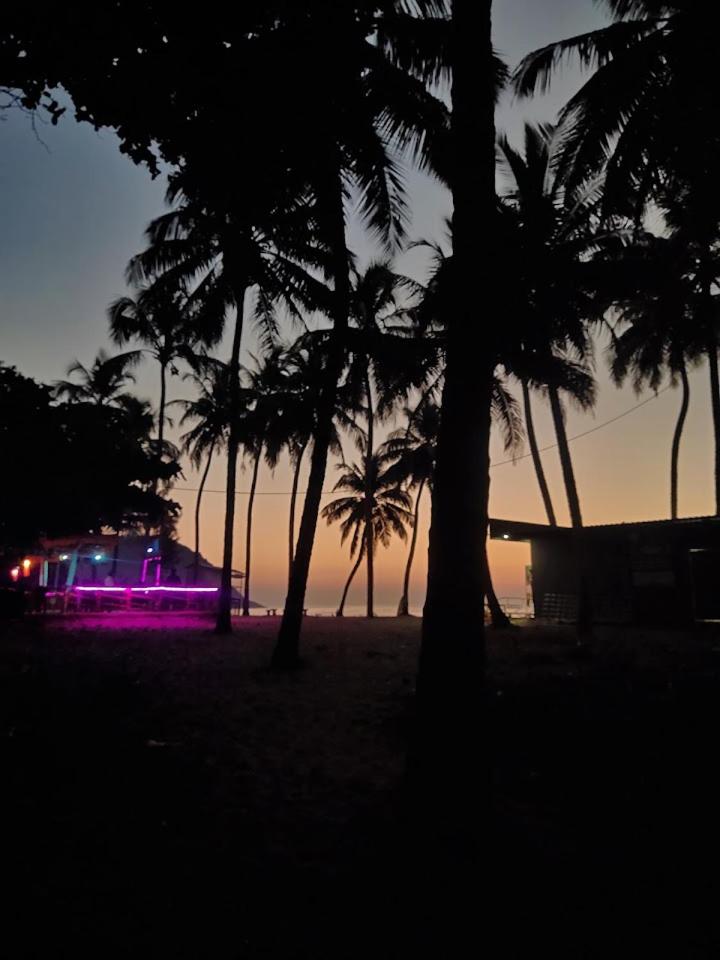 Bindhya Huts