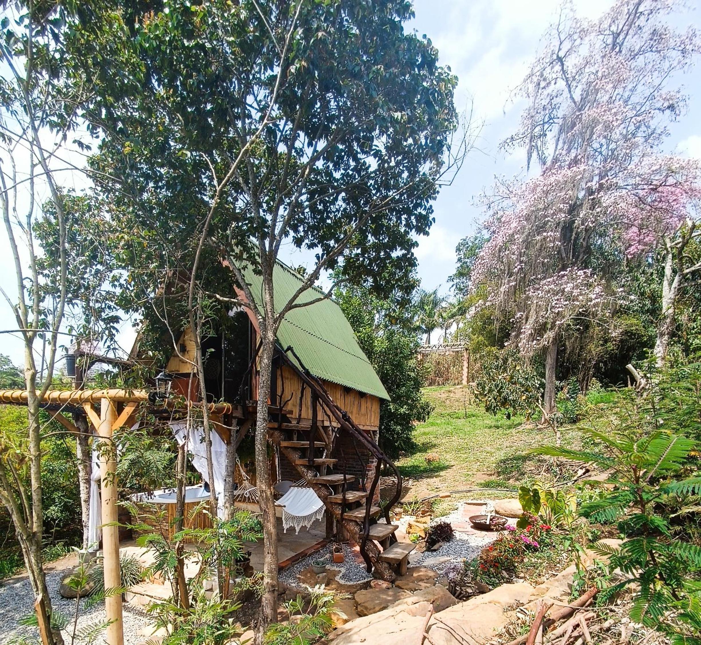 Glamping el nido