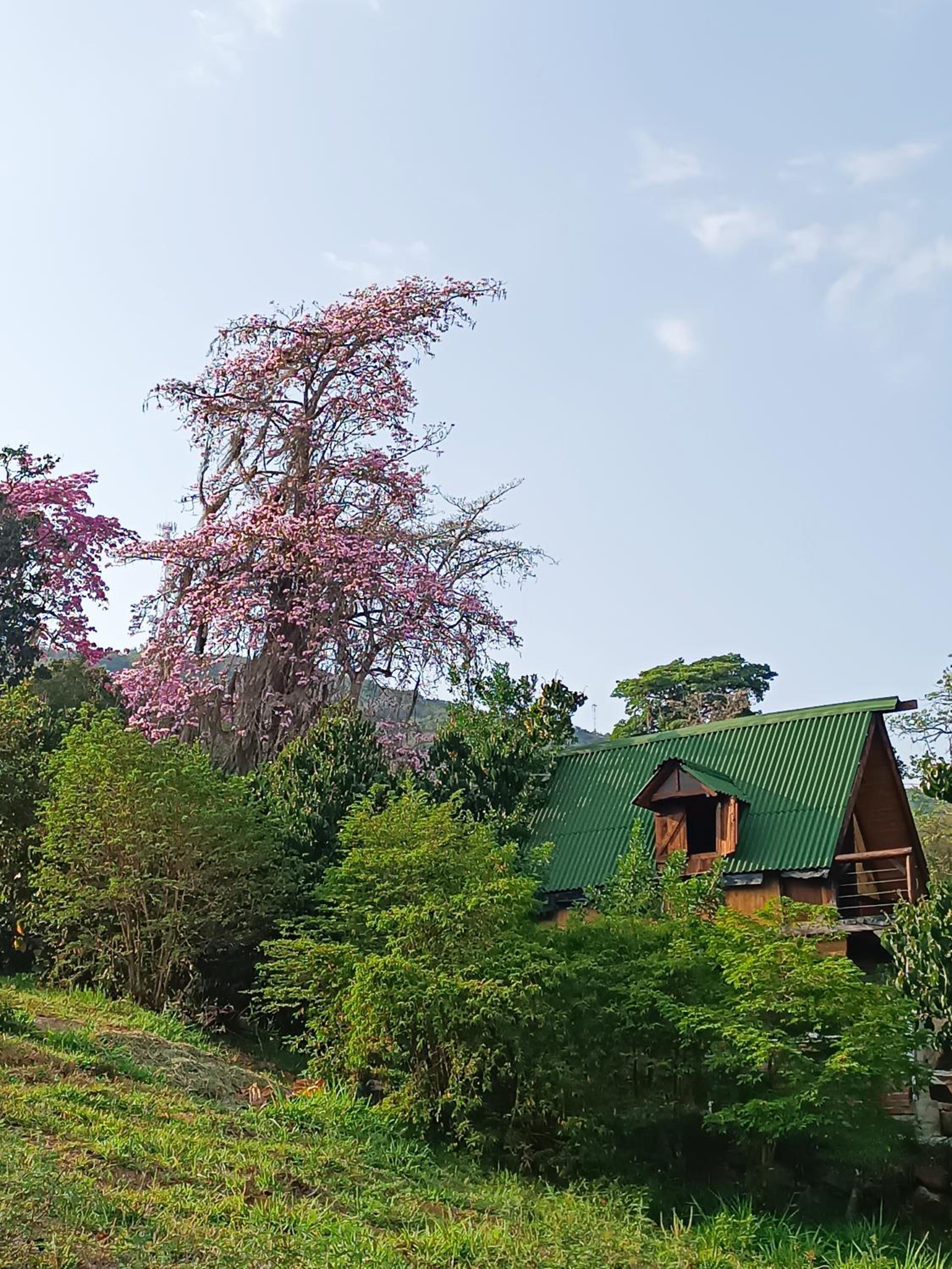 Glamping el nido