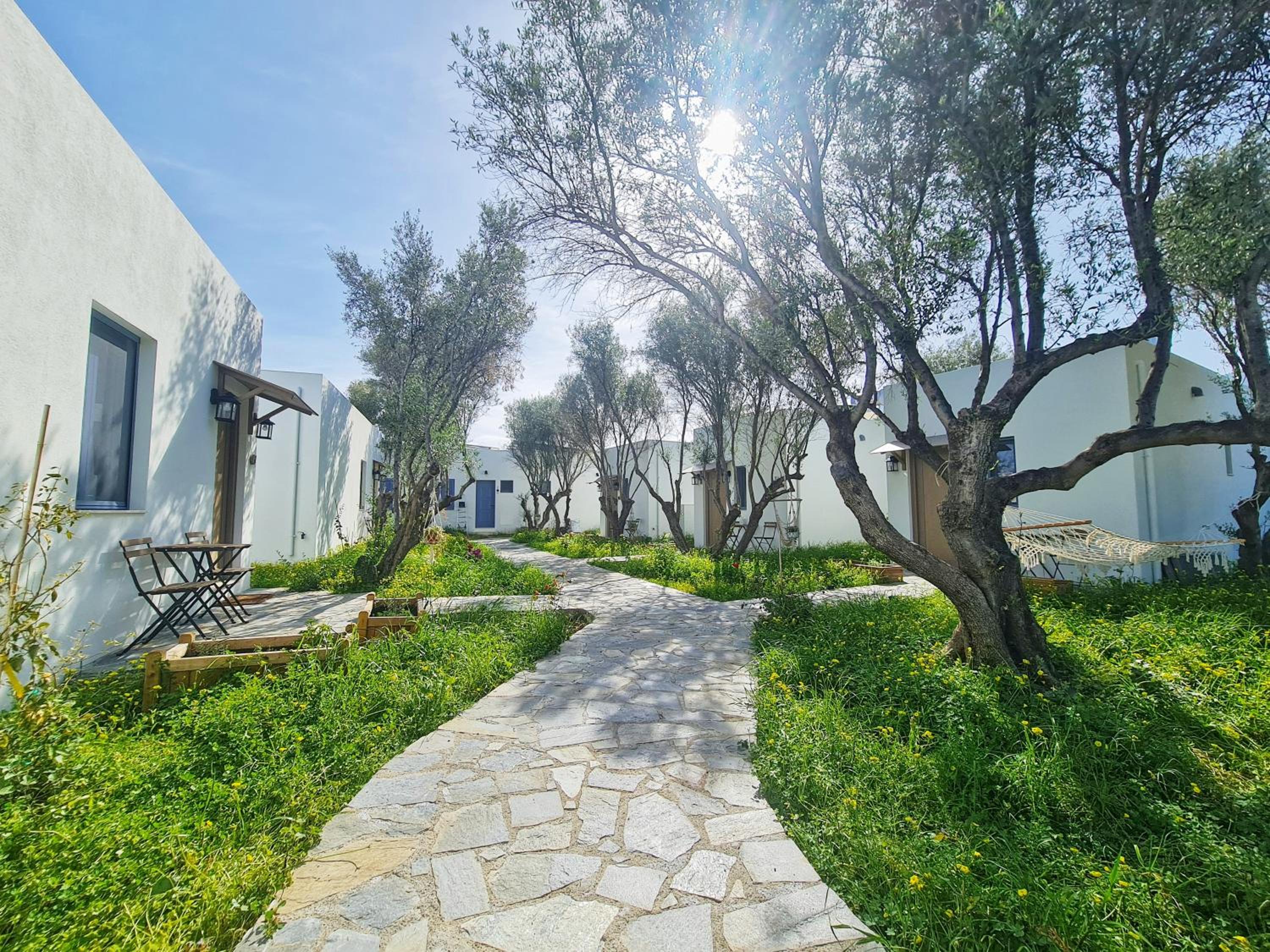 my home in crete view 2