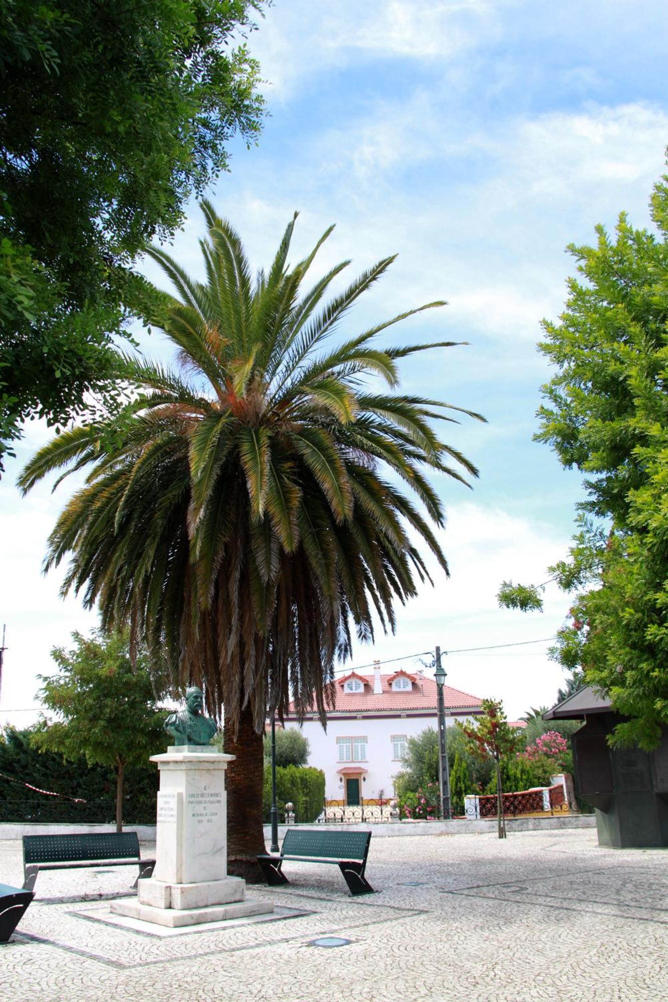 Casa Toníca view 5