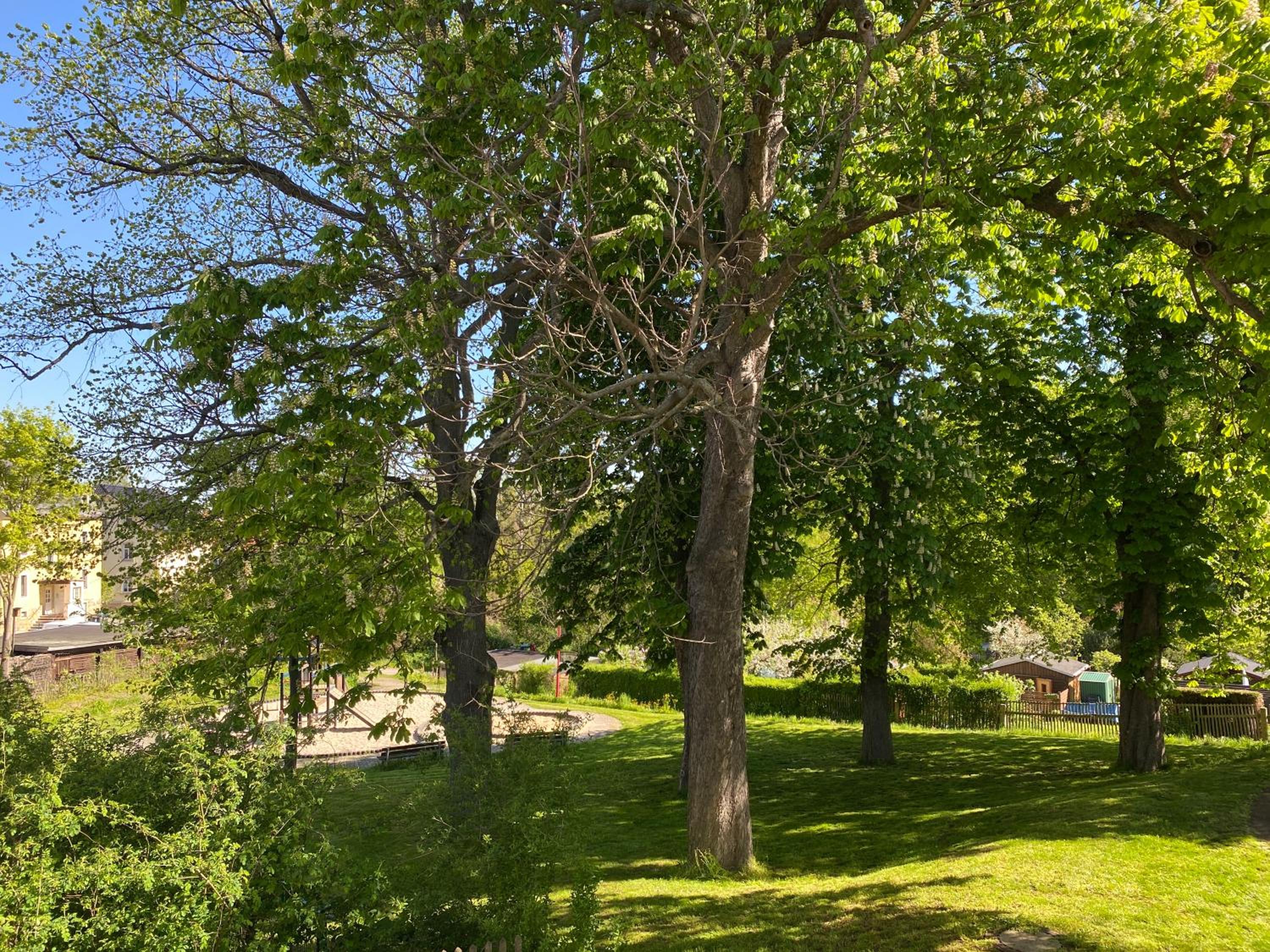 Domizil Eutschützblick