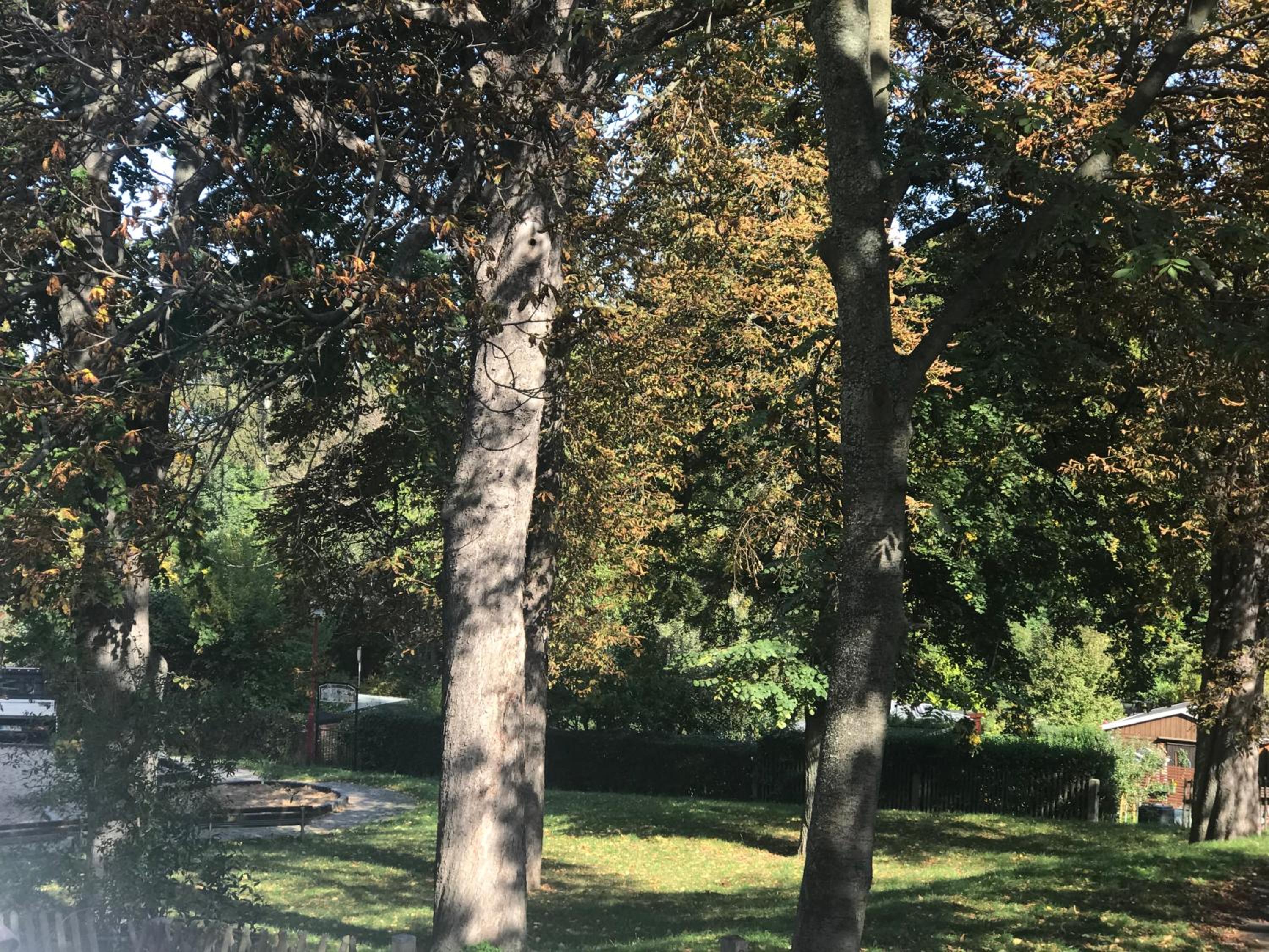 Domizil Eutschützblick