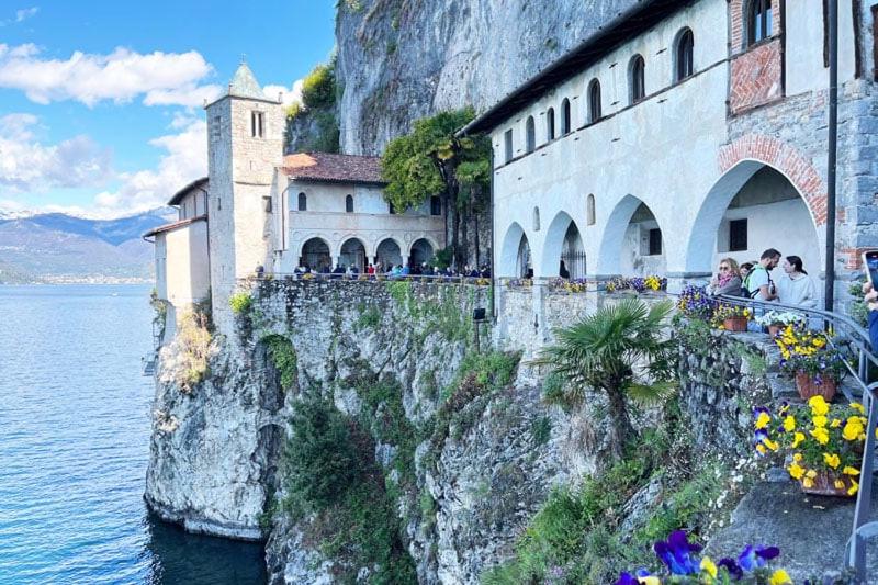 Lily Lake Maggiore