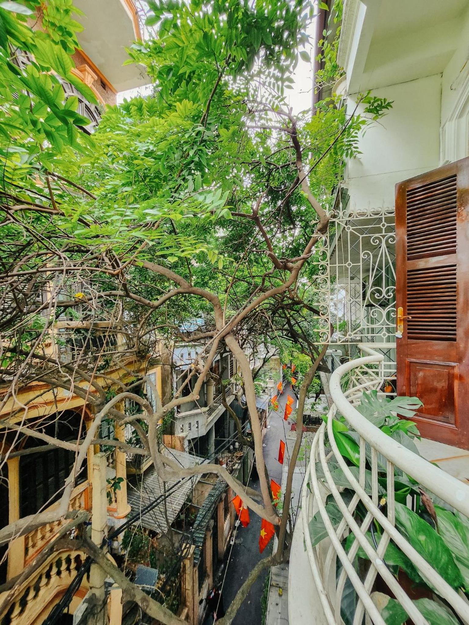 Freeroom / Old Quater 550m / Balcony many trees