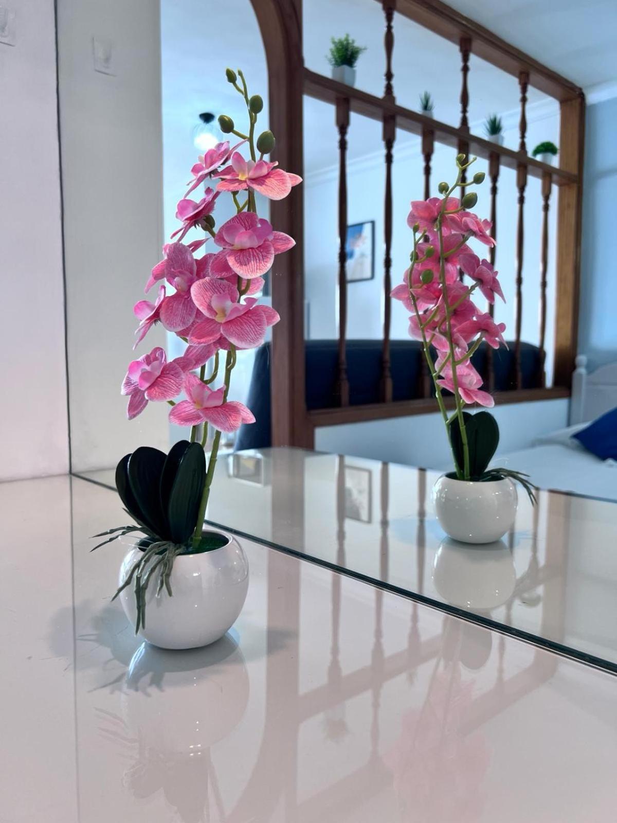 Apartamento-Estudio en la Playa