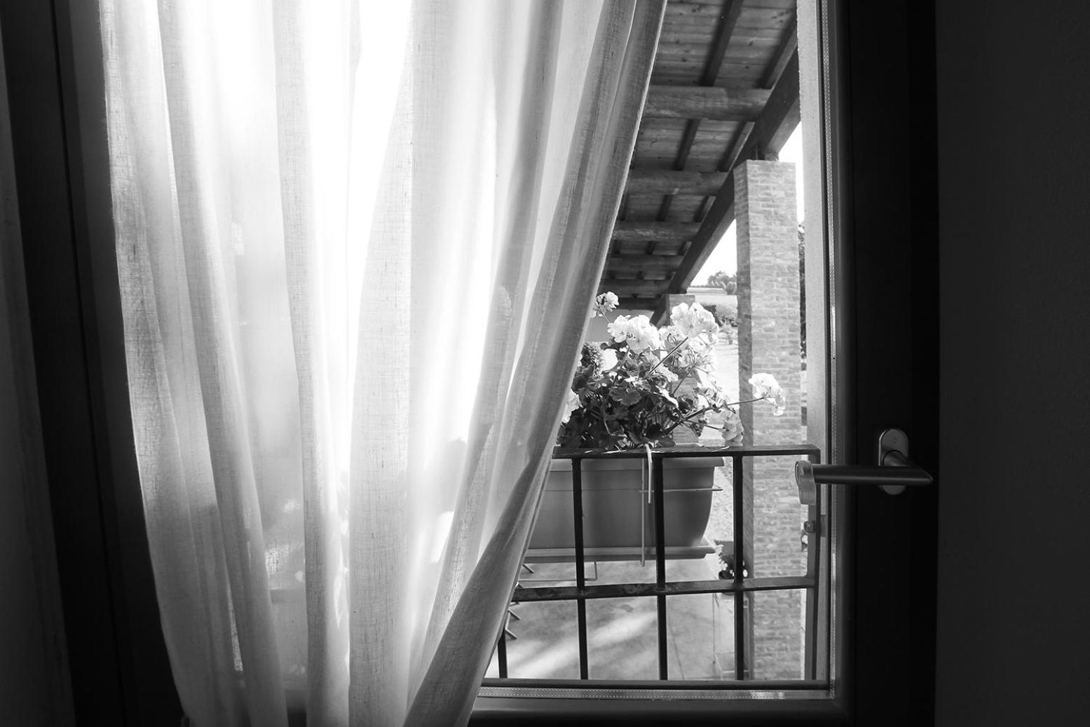 Photo 33