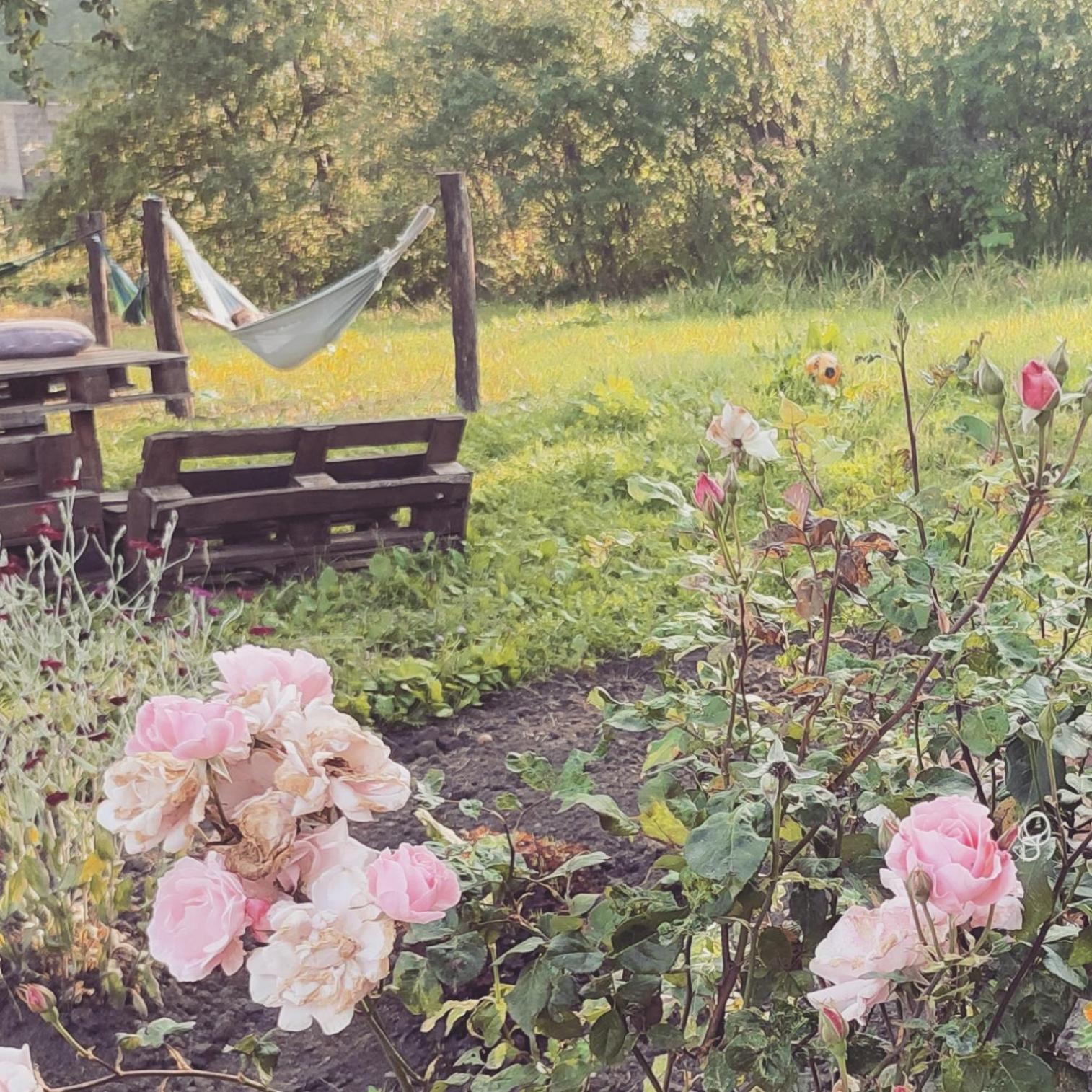 Hovit Holiday Home