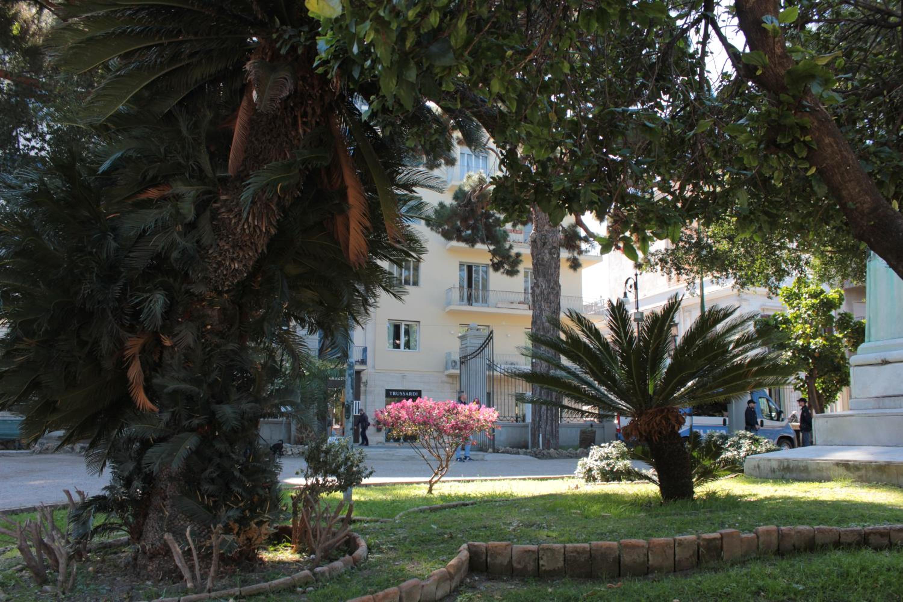 Photo 19