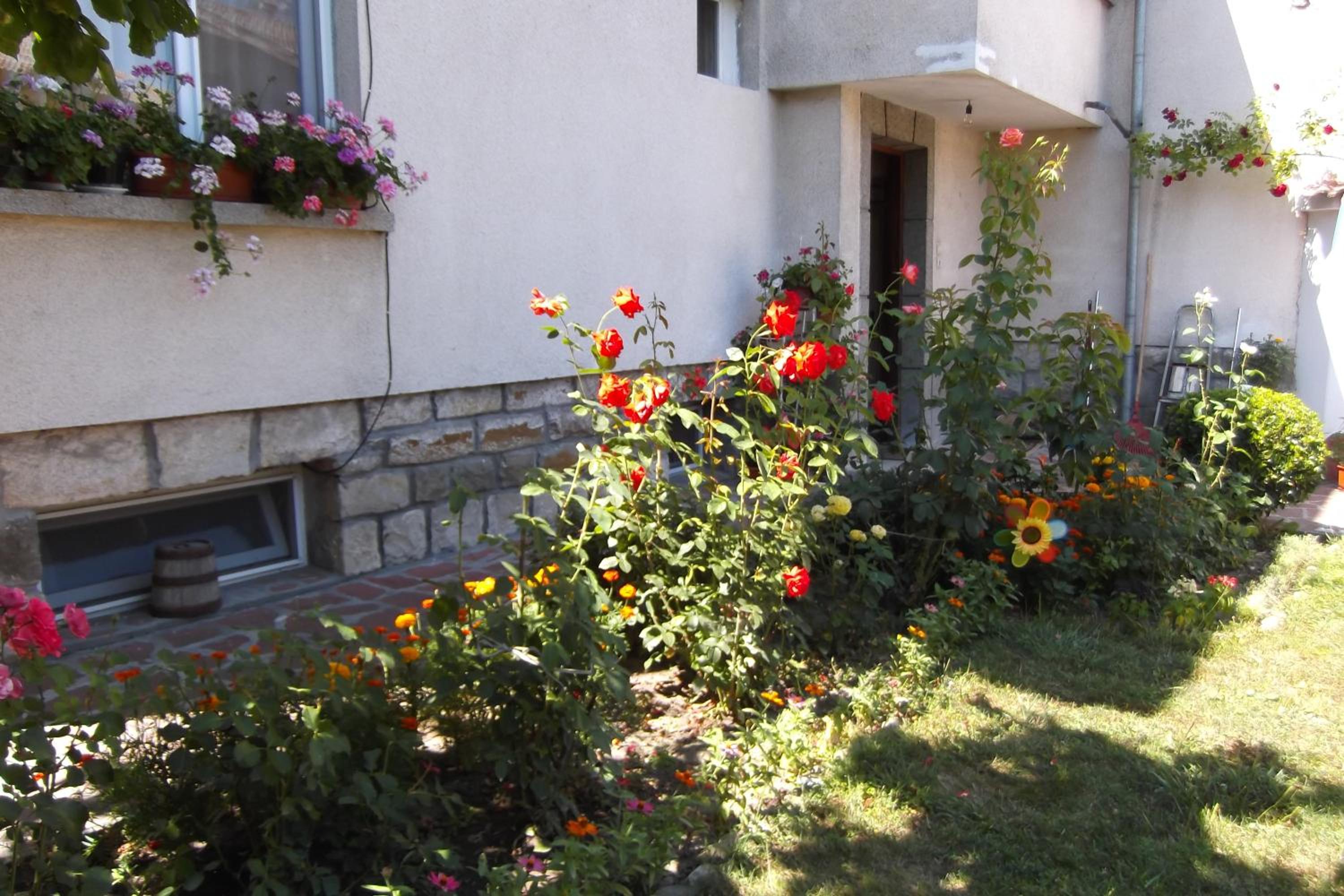 Borova House
