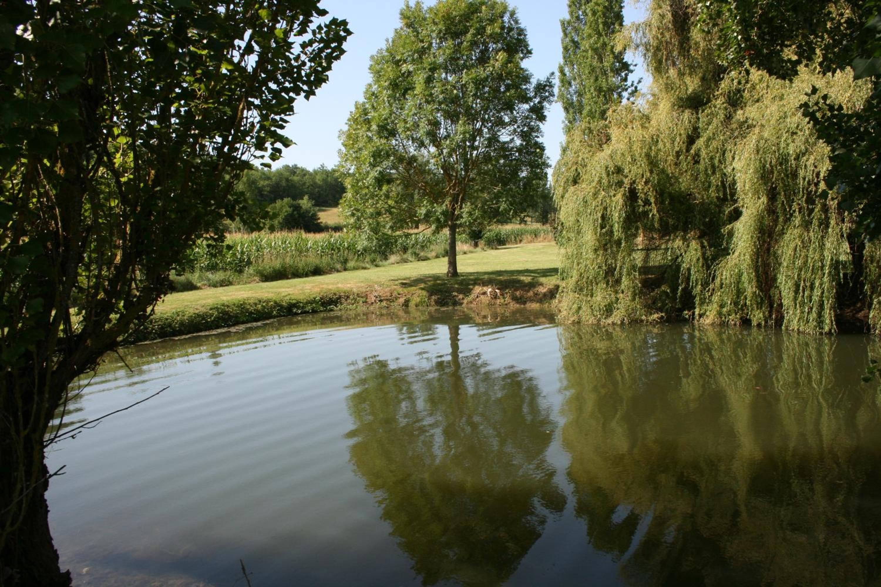 Photo 29
