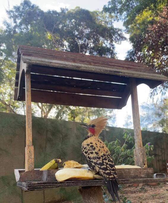 Chalé Recanto dos pássaros.