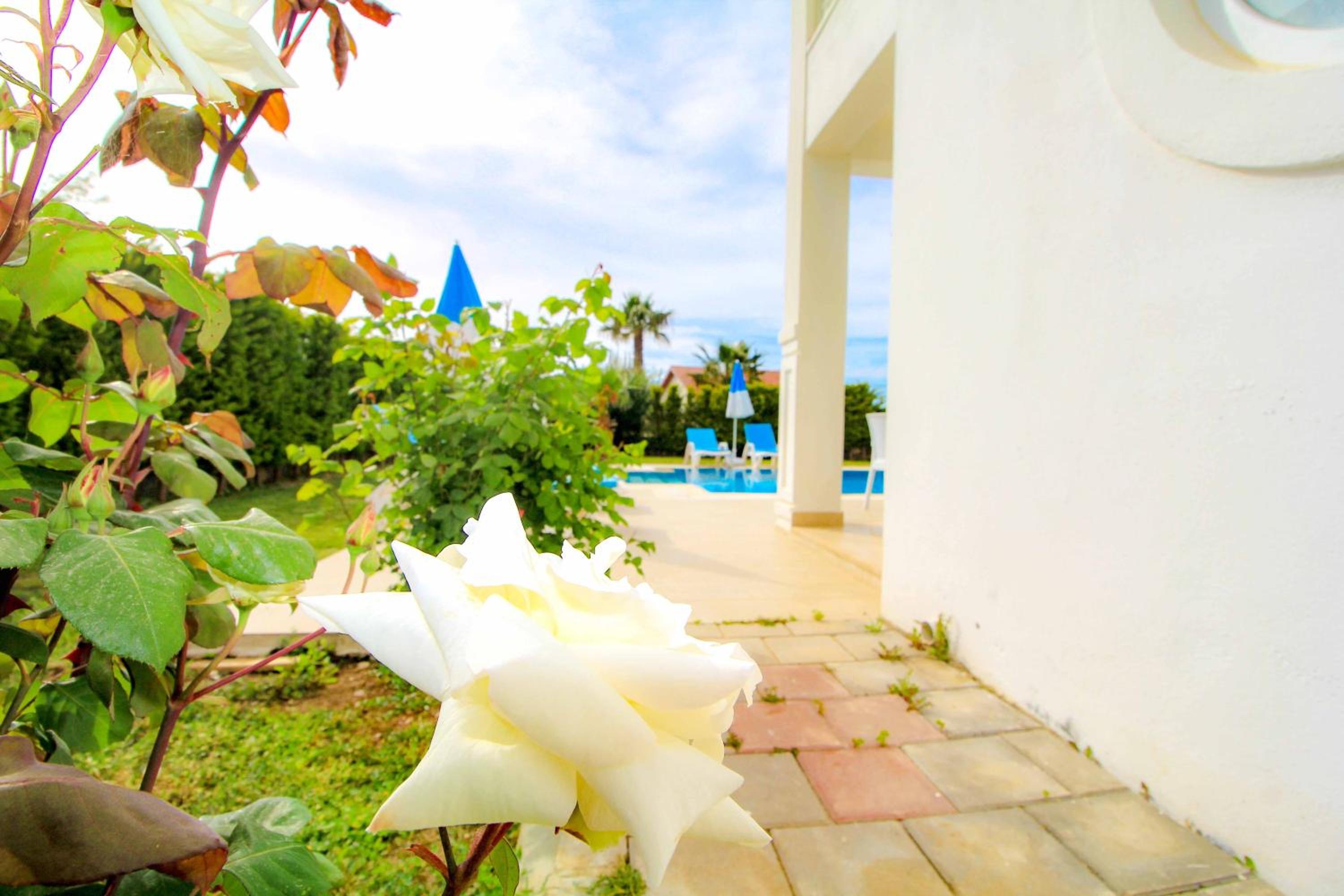 Hisarpark A Villa, Özel Havuzlu, Fethiye view 4