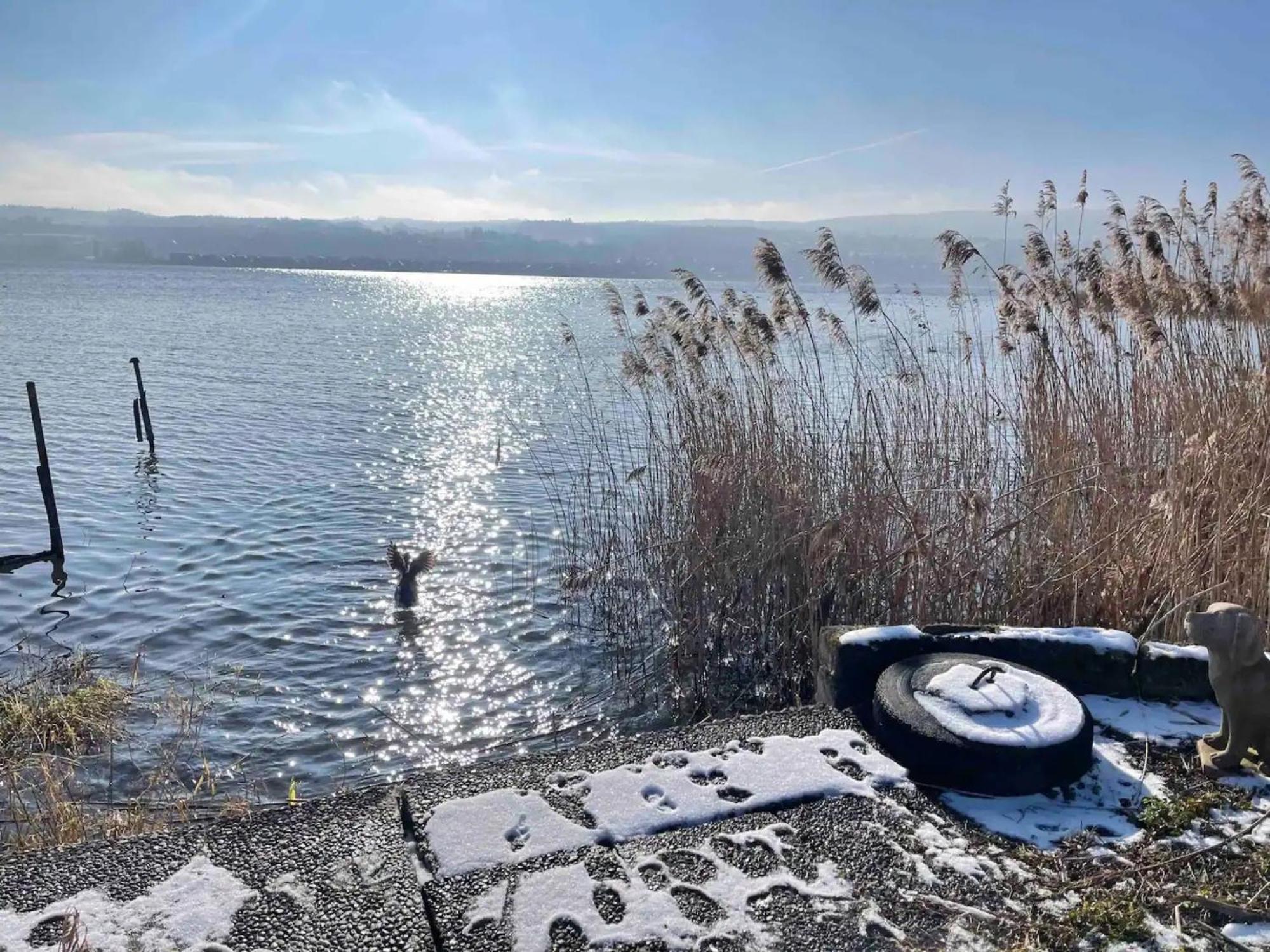 Seeluft direkt am Wasser