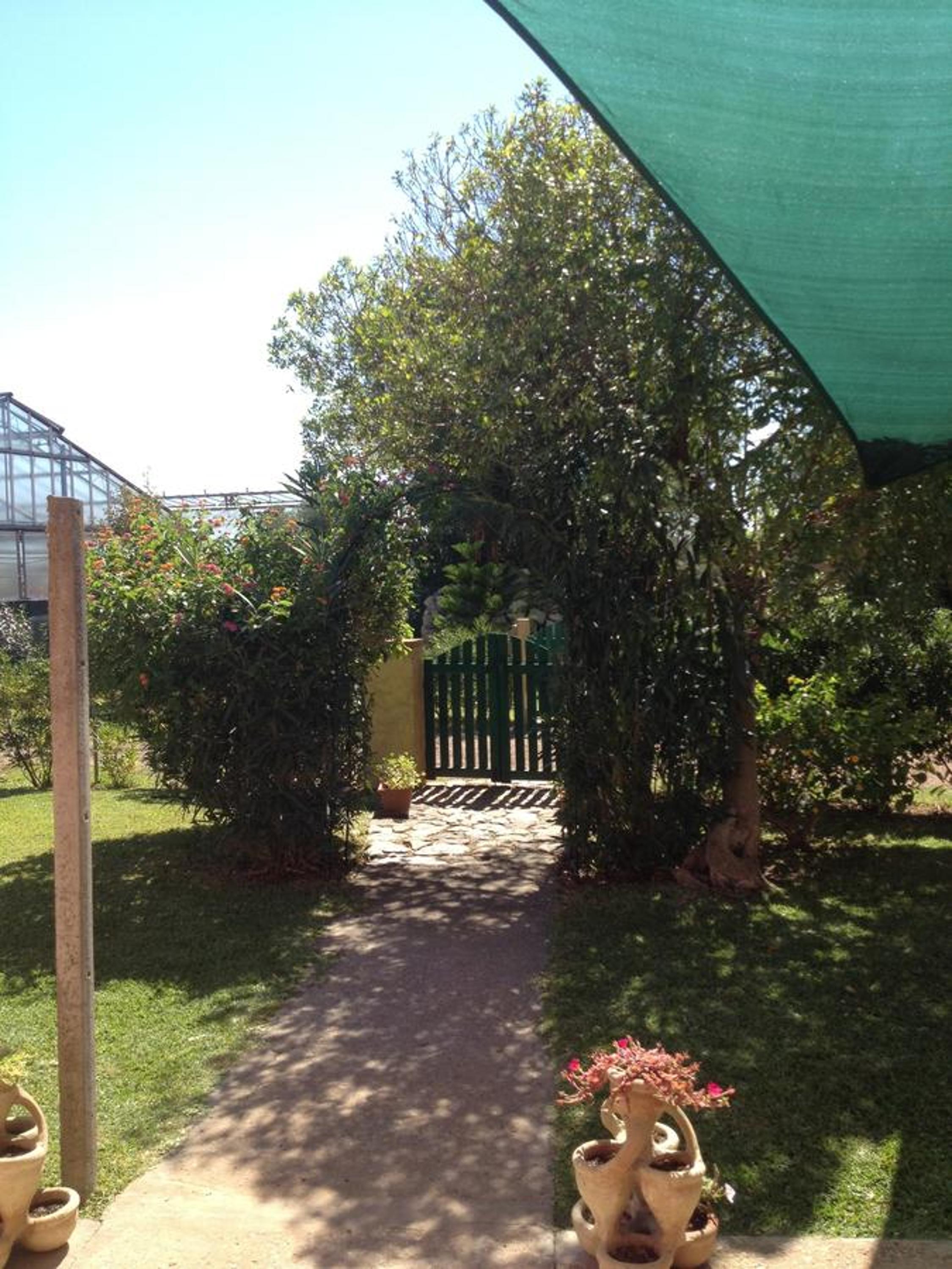 Photo 24