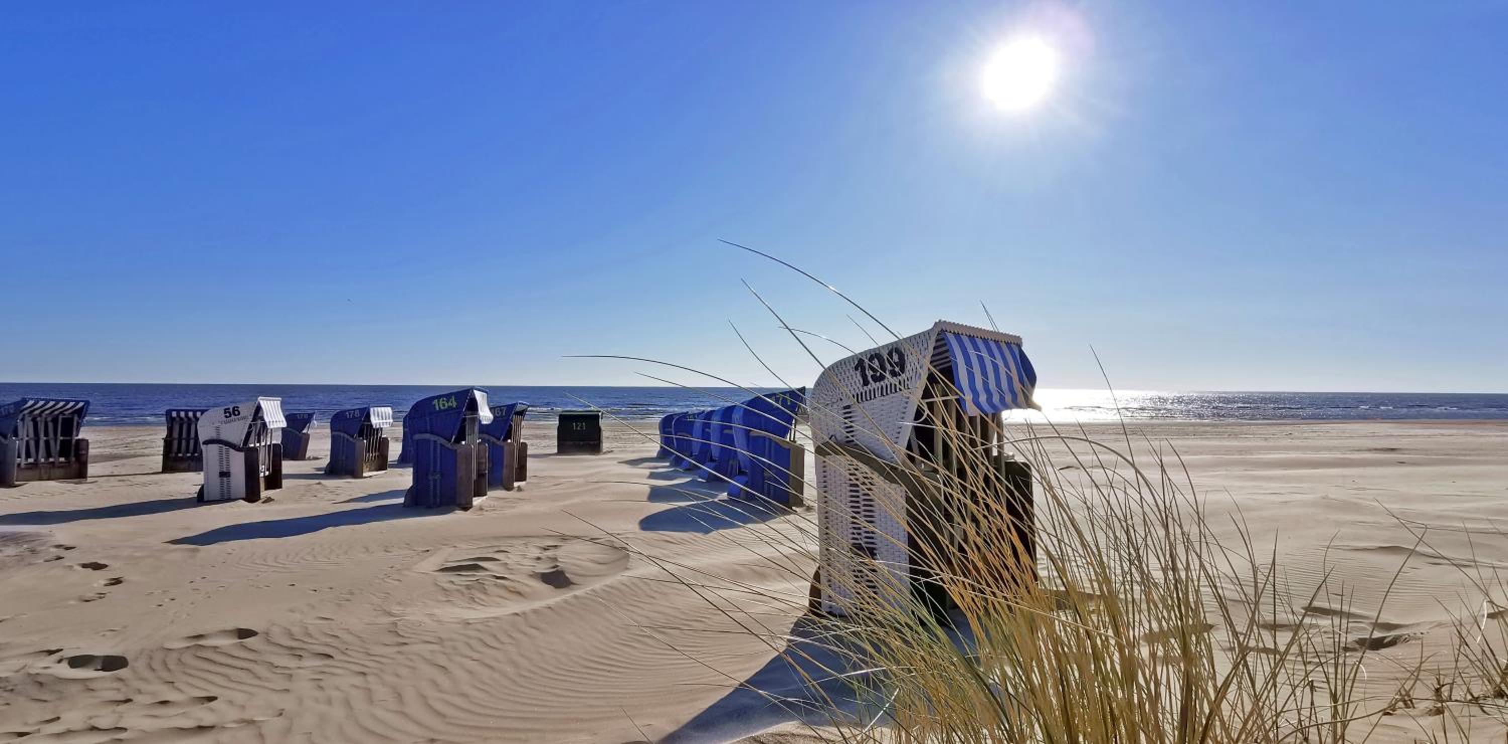 Fewo Strandläufer Usedom im Grünen ruhig Terrasse Parkplatz