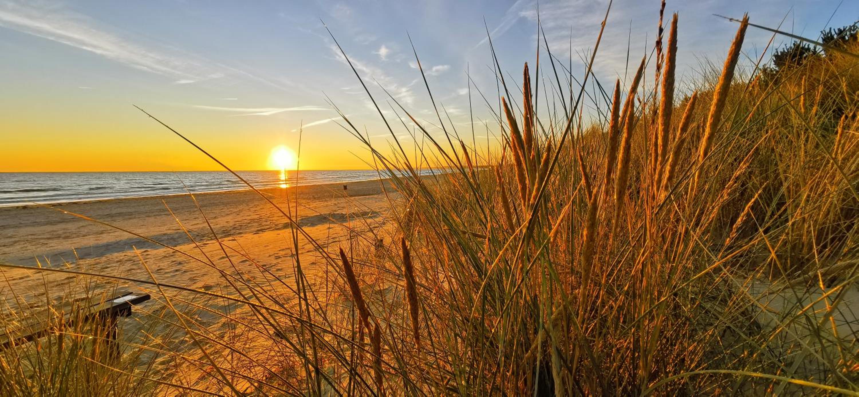 Fewo Strandläufer Usedom im Grünen ruhig Terrasse Parkplatz