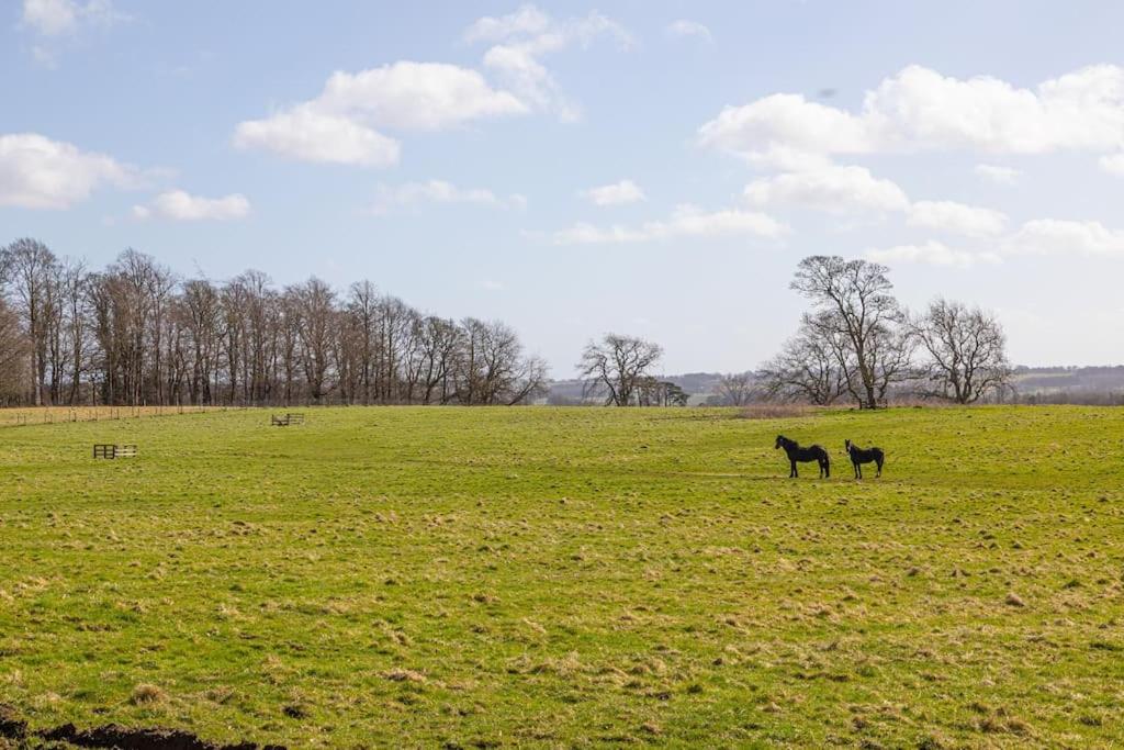 Magnificent Period Country House view 5