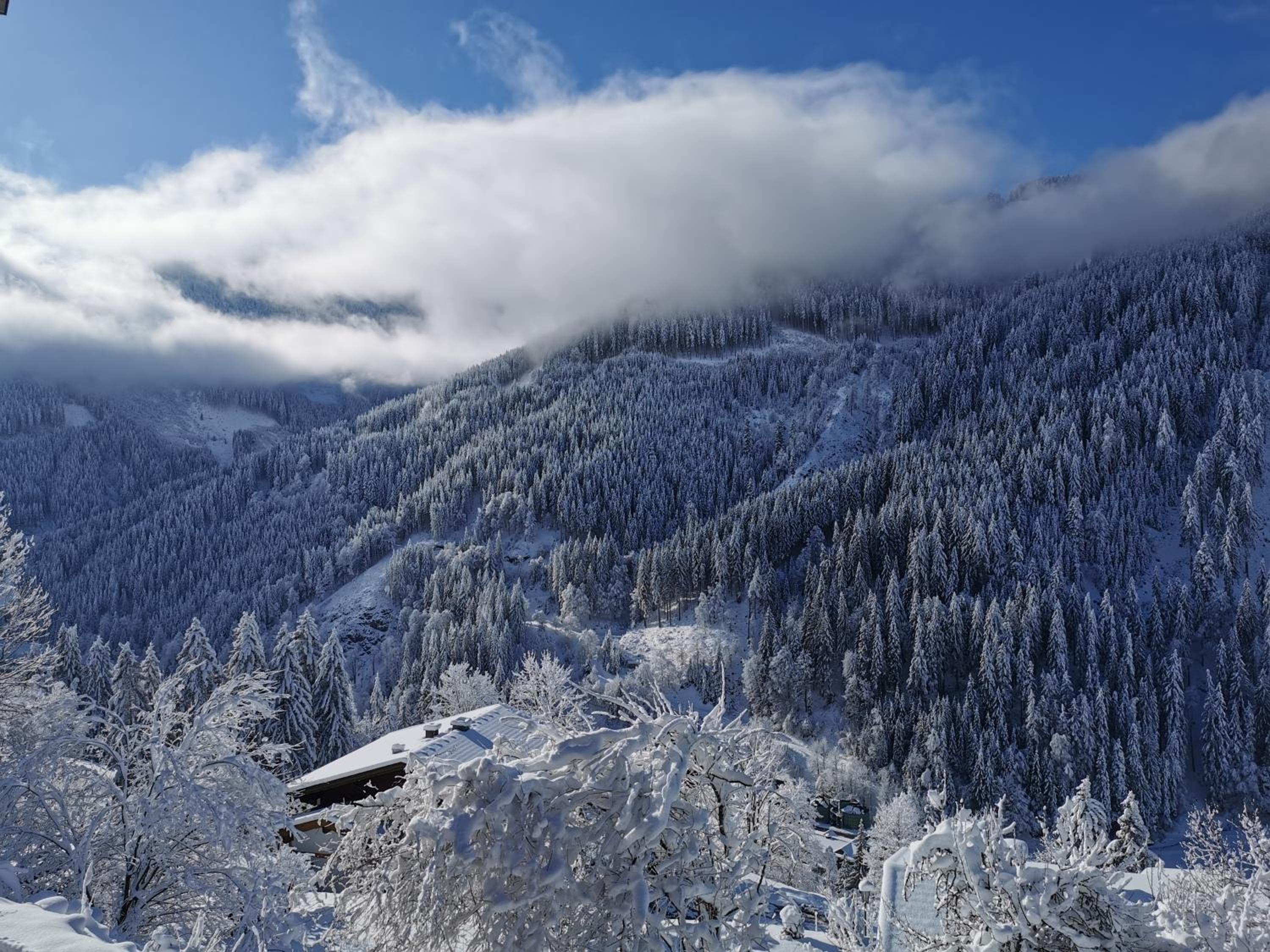 Landhaus Oberzinnegg view 2