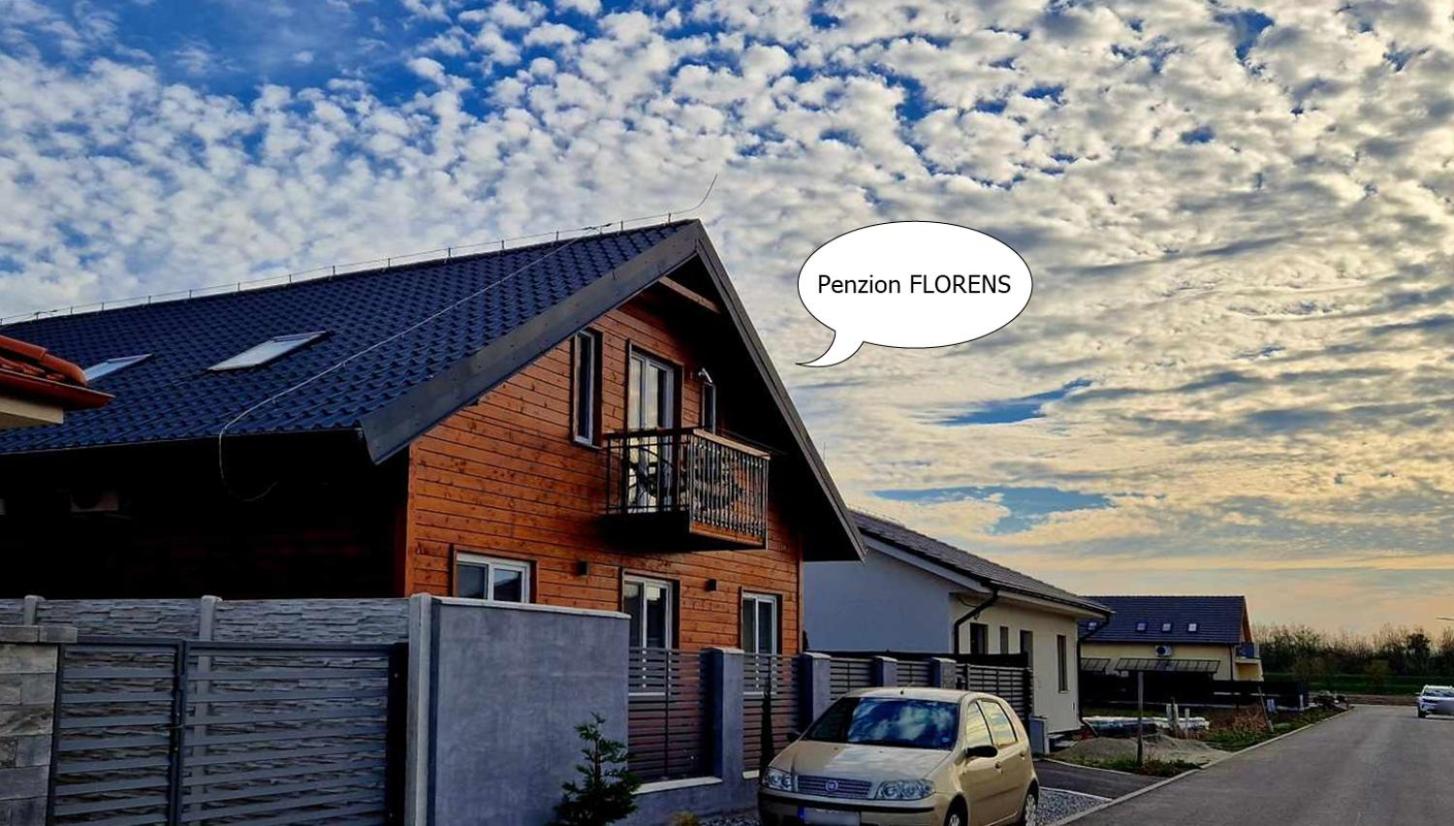 Penzión Florens, Nesvady