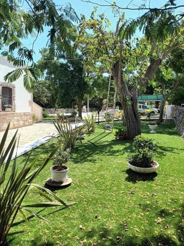 TRULLI ALLEGRETTI