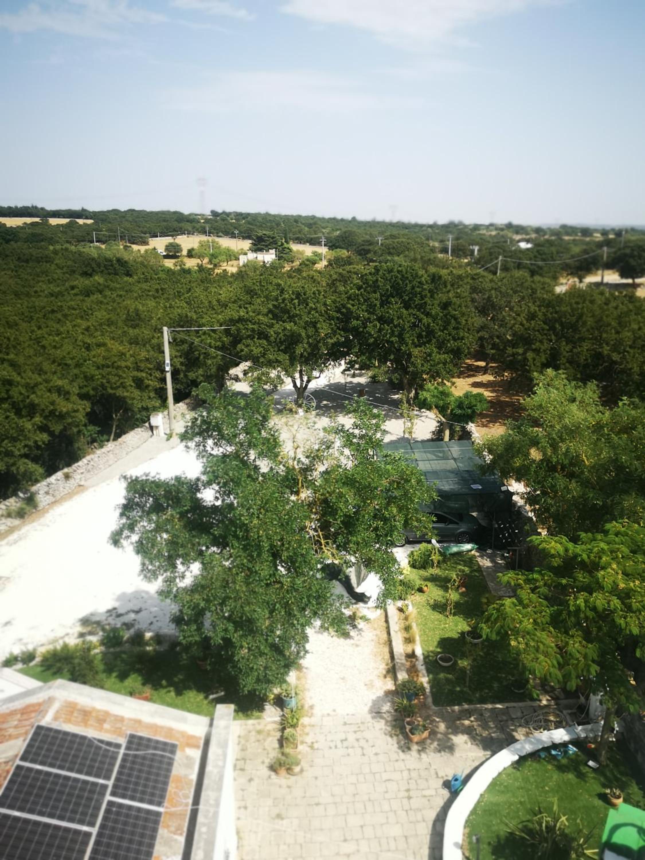 TRULLI ALLEGRETTI
