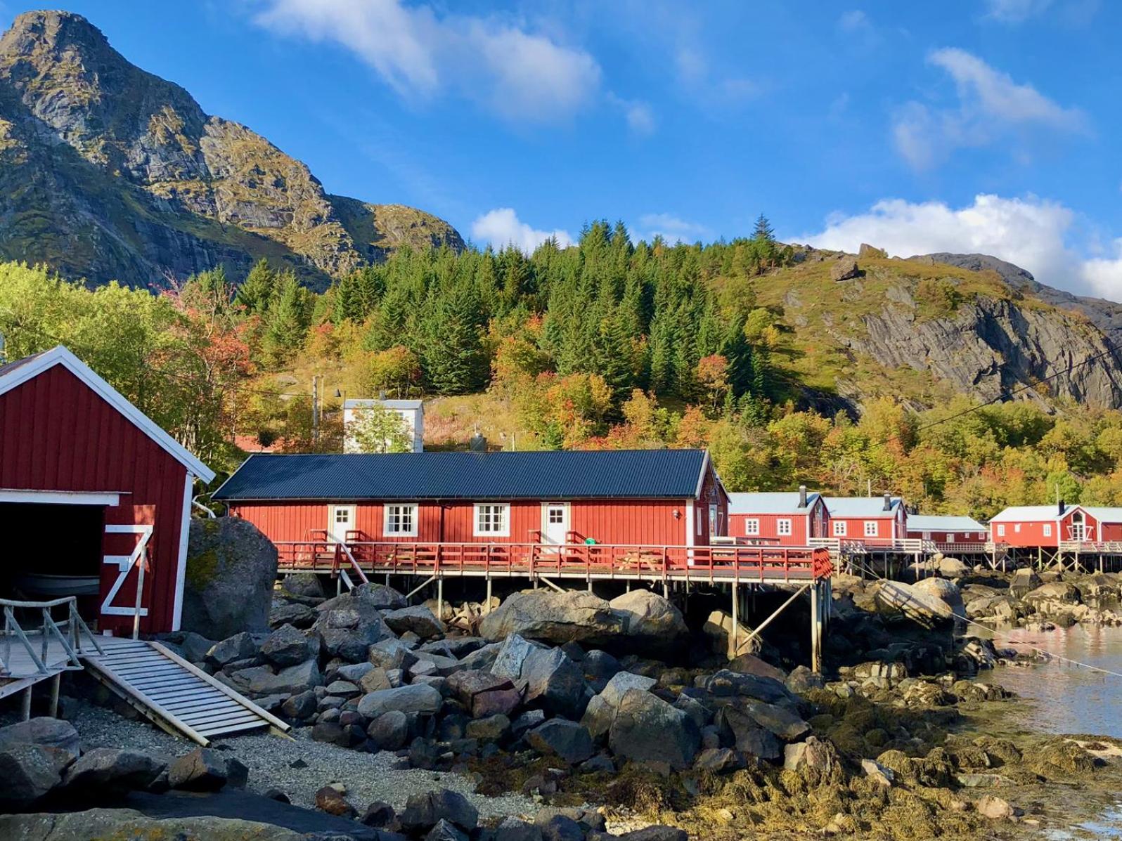 Nusfjord Ocean View Rorbu 19