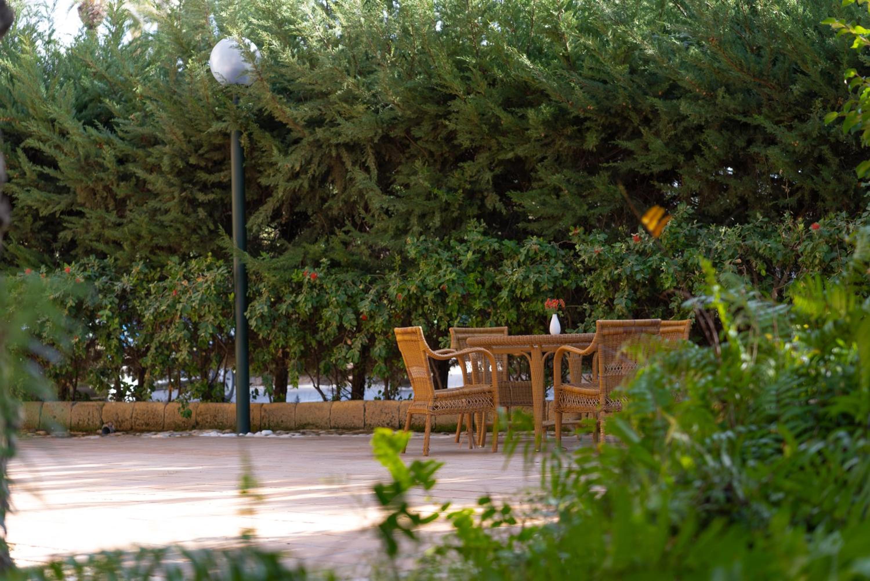 Elche Vacations - Jardin Milenio - Property Image 9