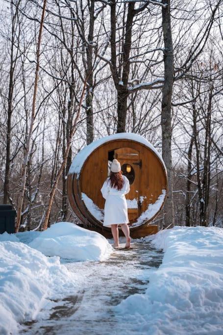 Private Hot Tub Sauna Indoor Pool Nyctale Fiddler Lake