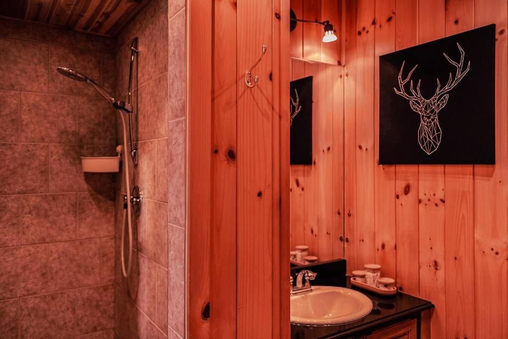 Private Hot Tub Sauna Indoor Pool Nyctale Fiddler Lake