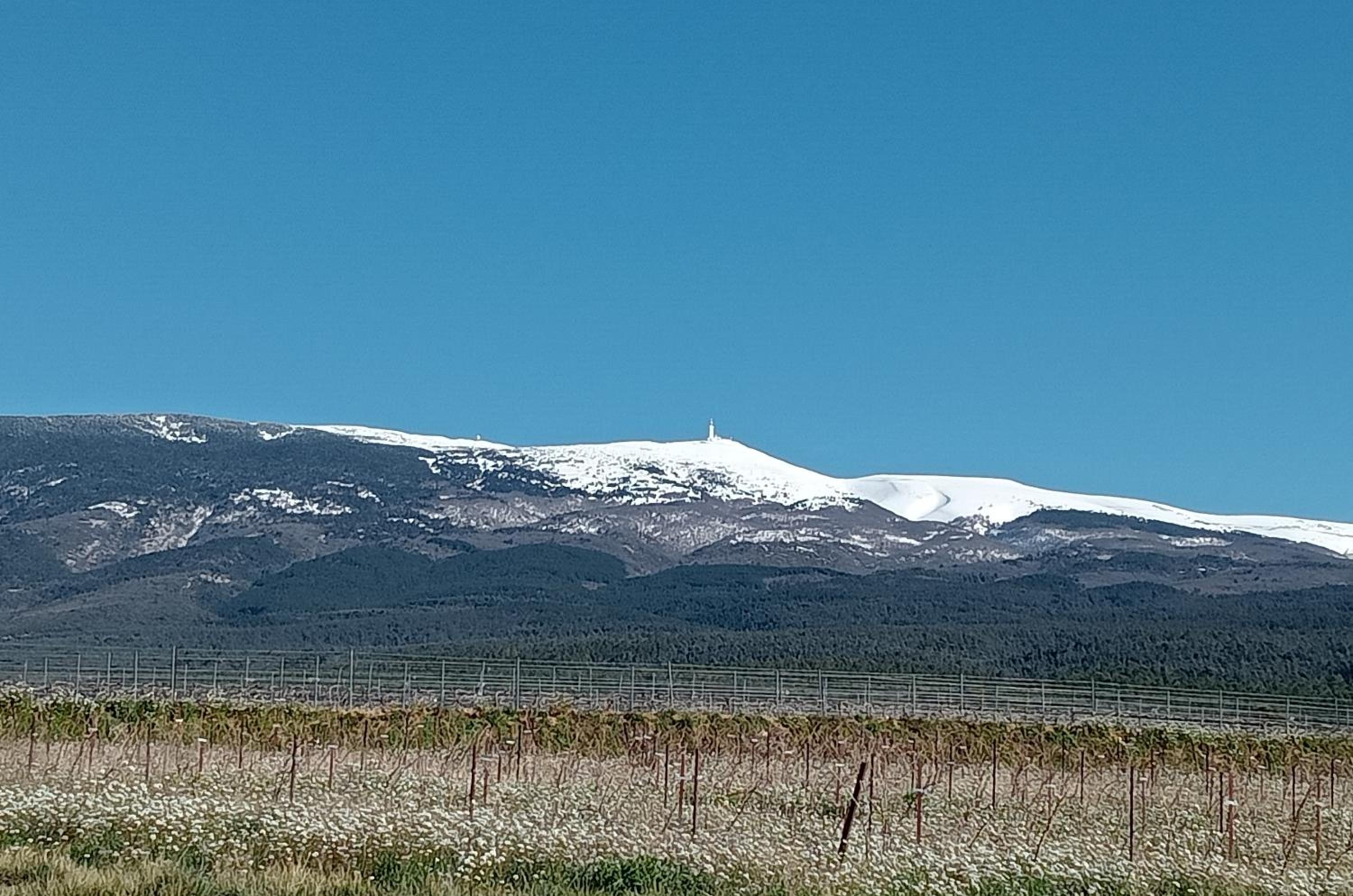 Gîte PITCHOU au pied du VENTOUX
