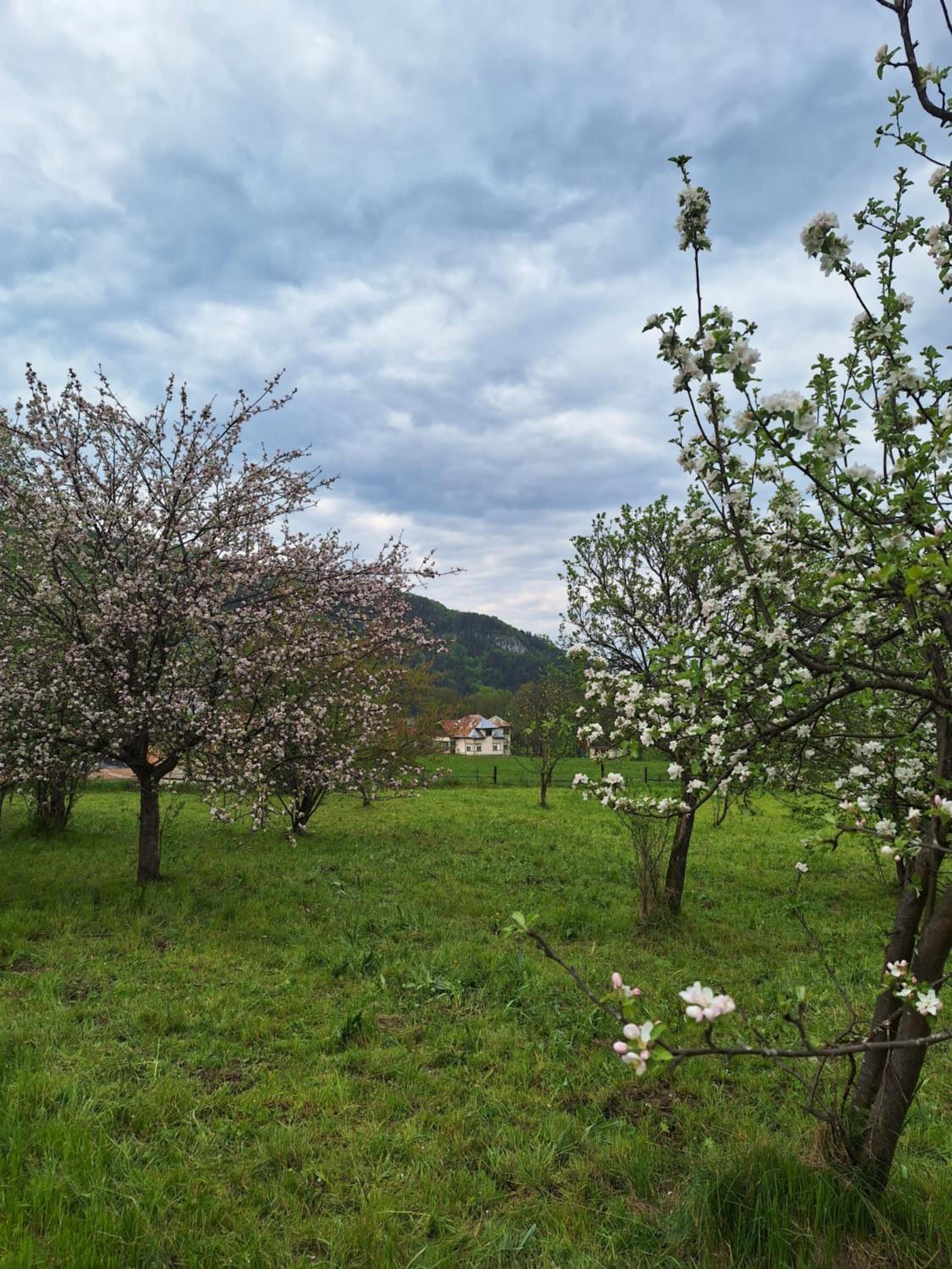 Photo 46