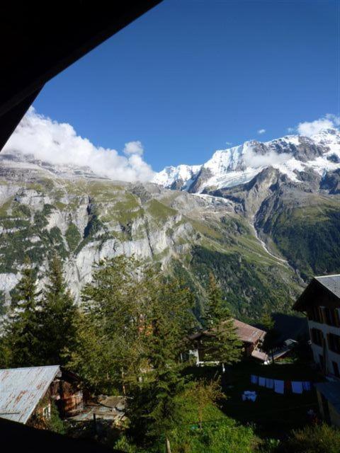 Photo 40