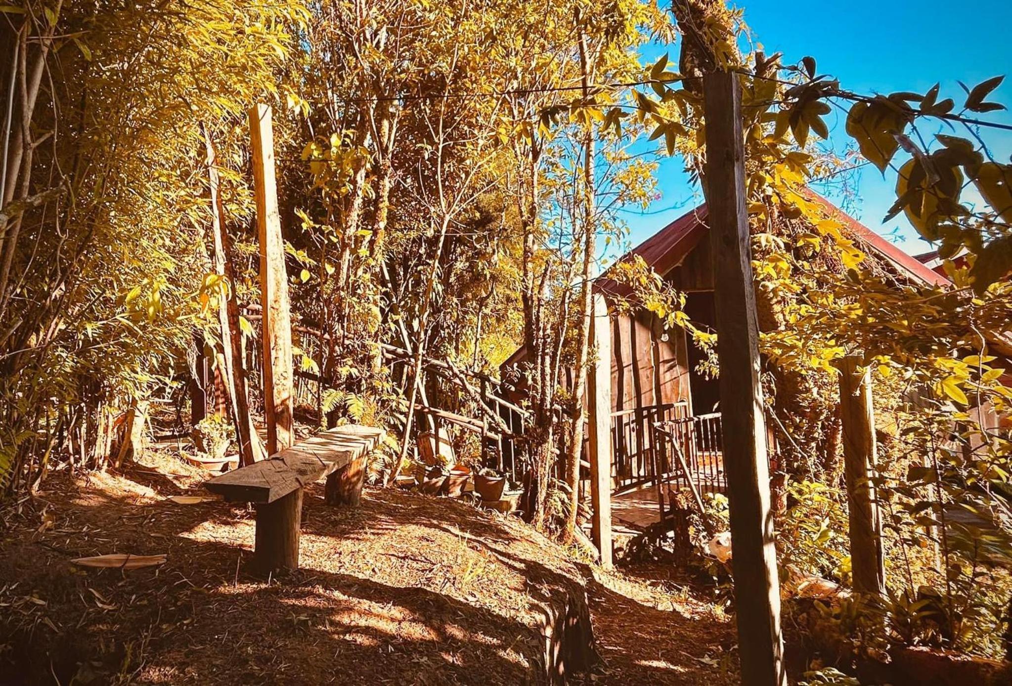 Cabaña Palo Alto