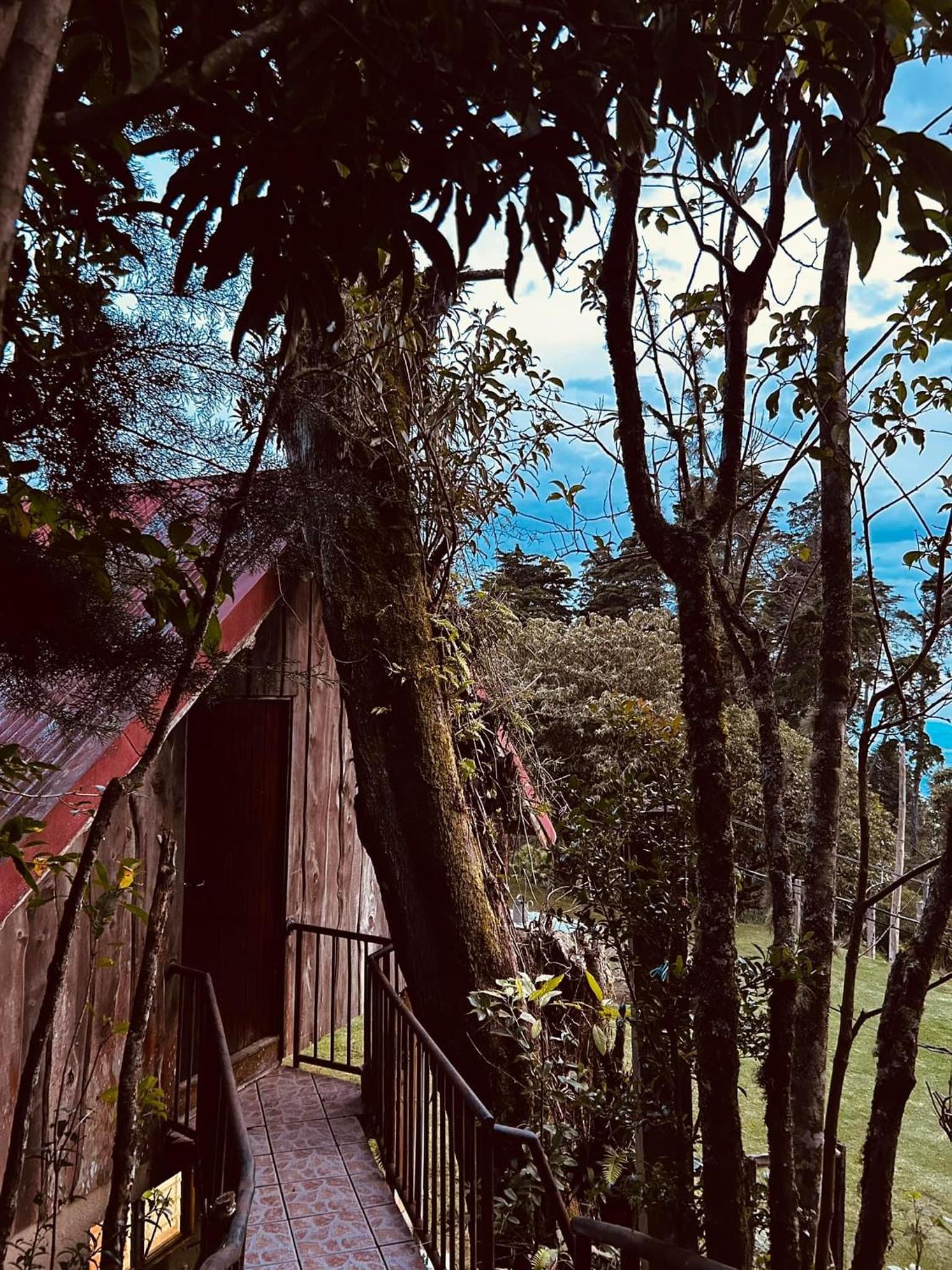 Cabaña Palo Alto
