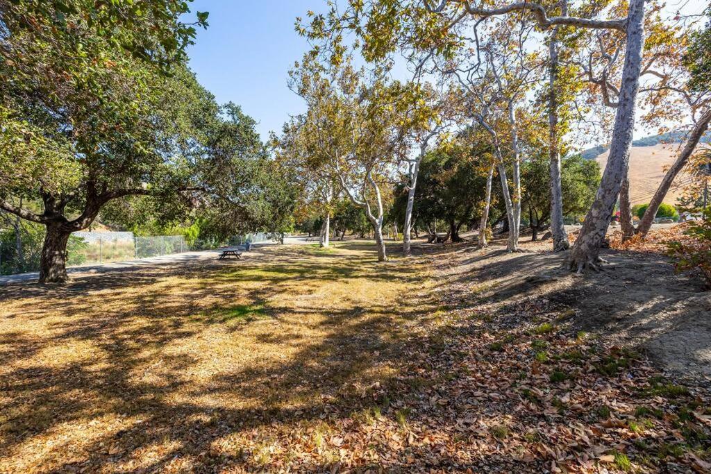 San Jose Vacations - Adorable Fremont Cottage - Property Image 5