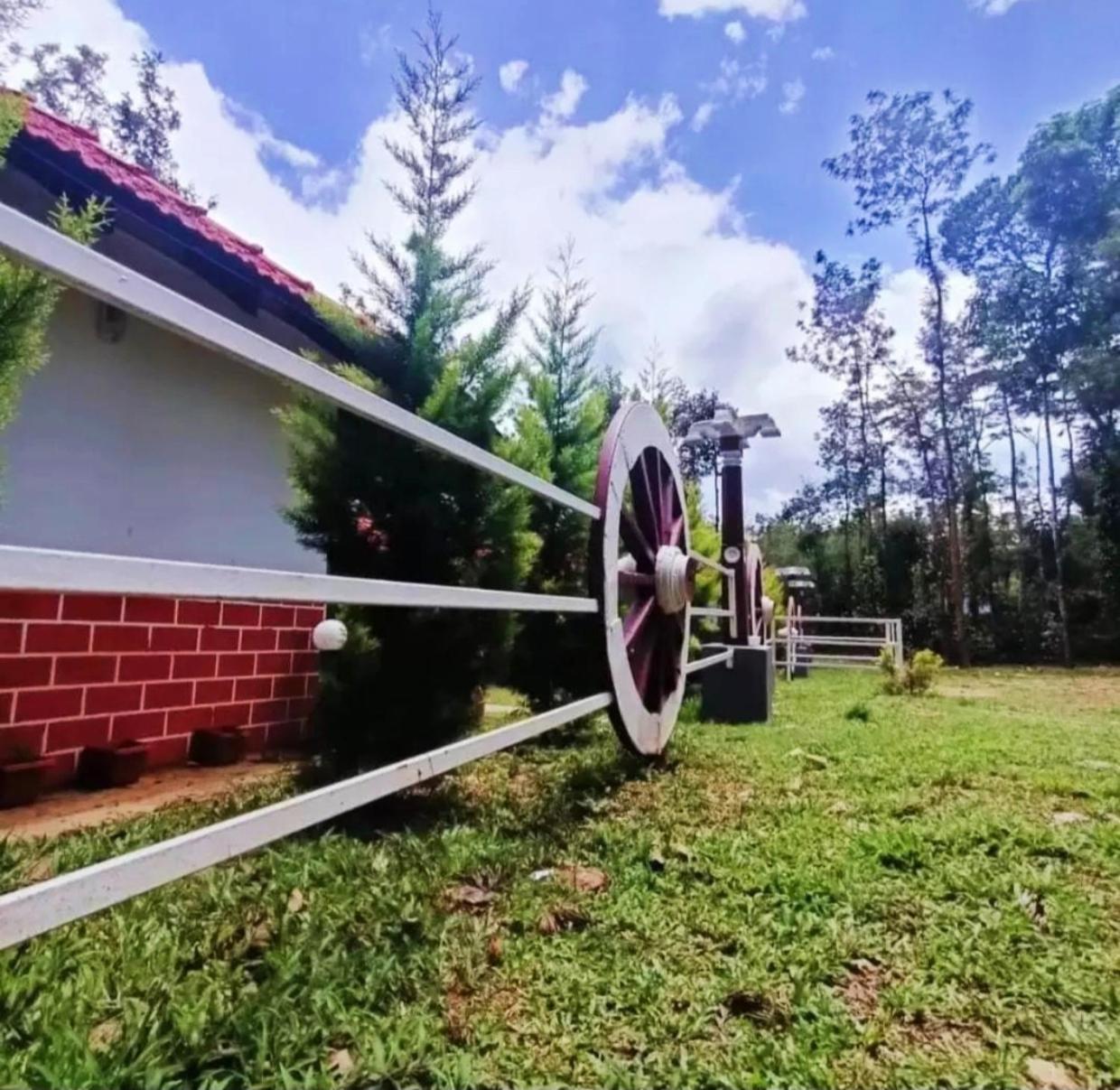 Coffee Breeze Plantation Homestay - Swimming Pool and Simple Rooms