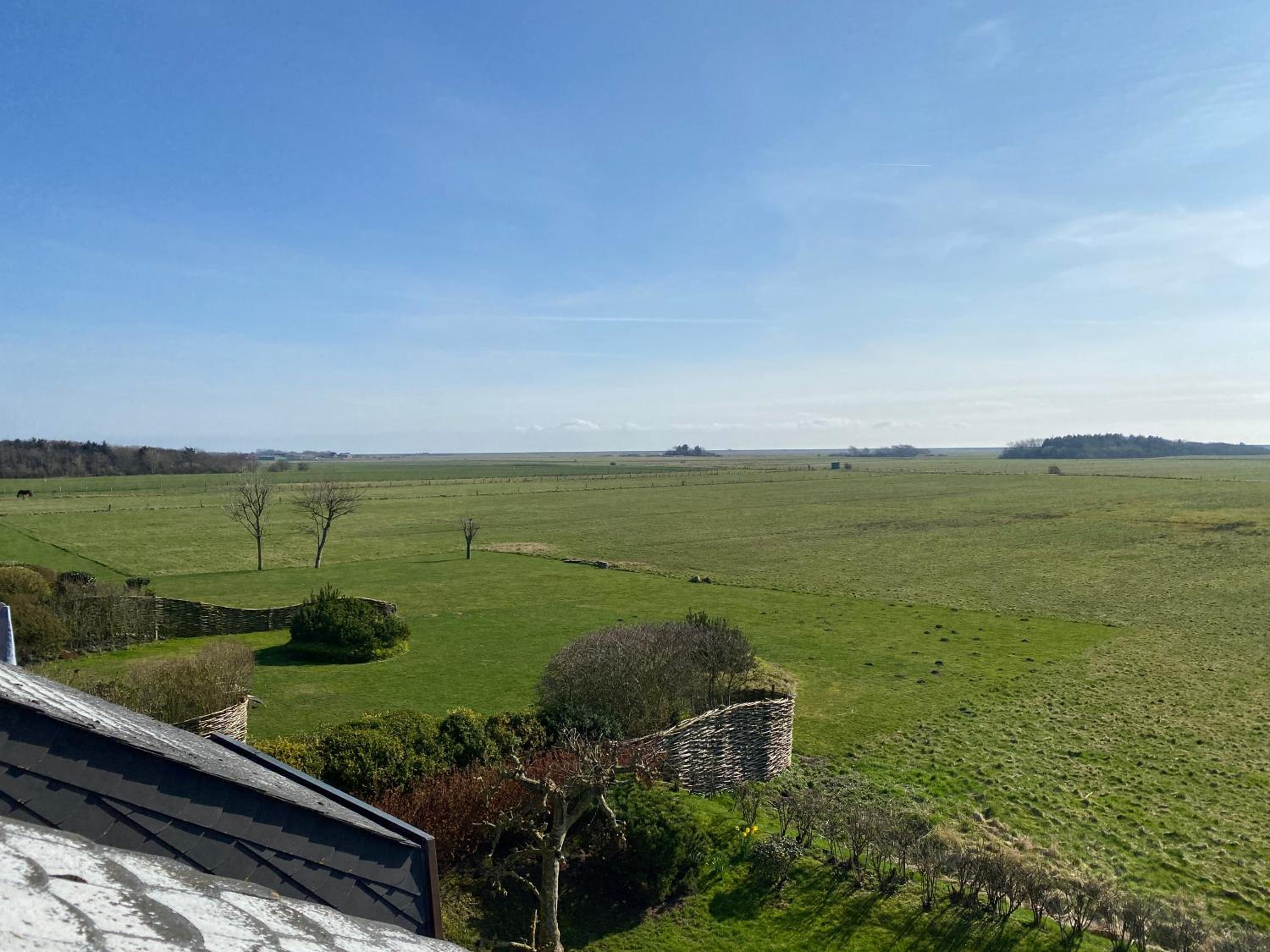 Stroenholt