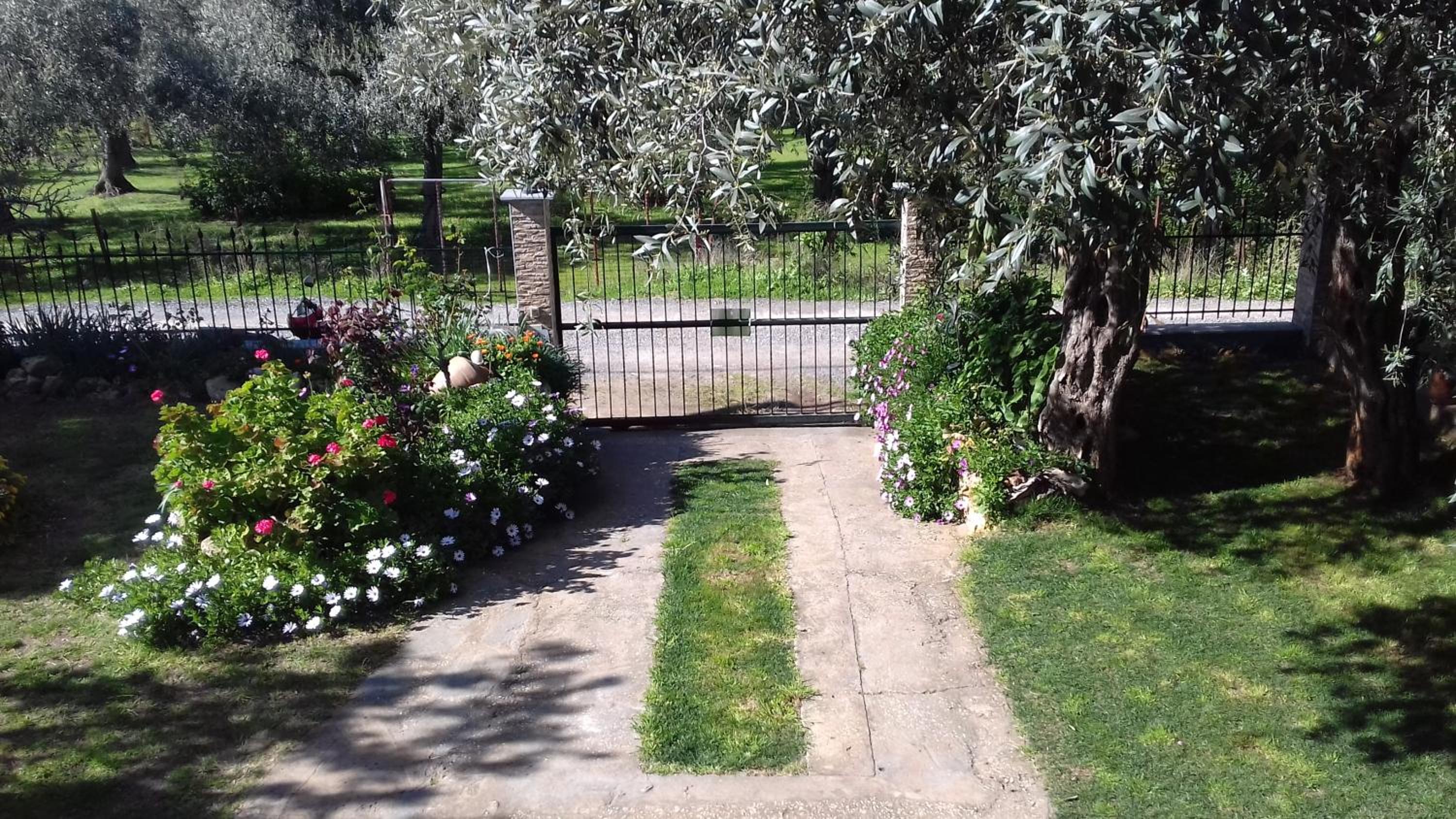 SUN GARDEN