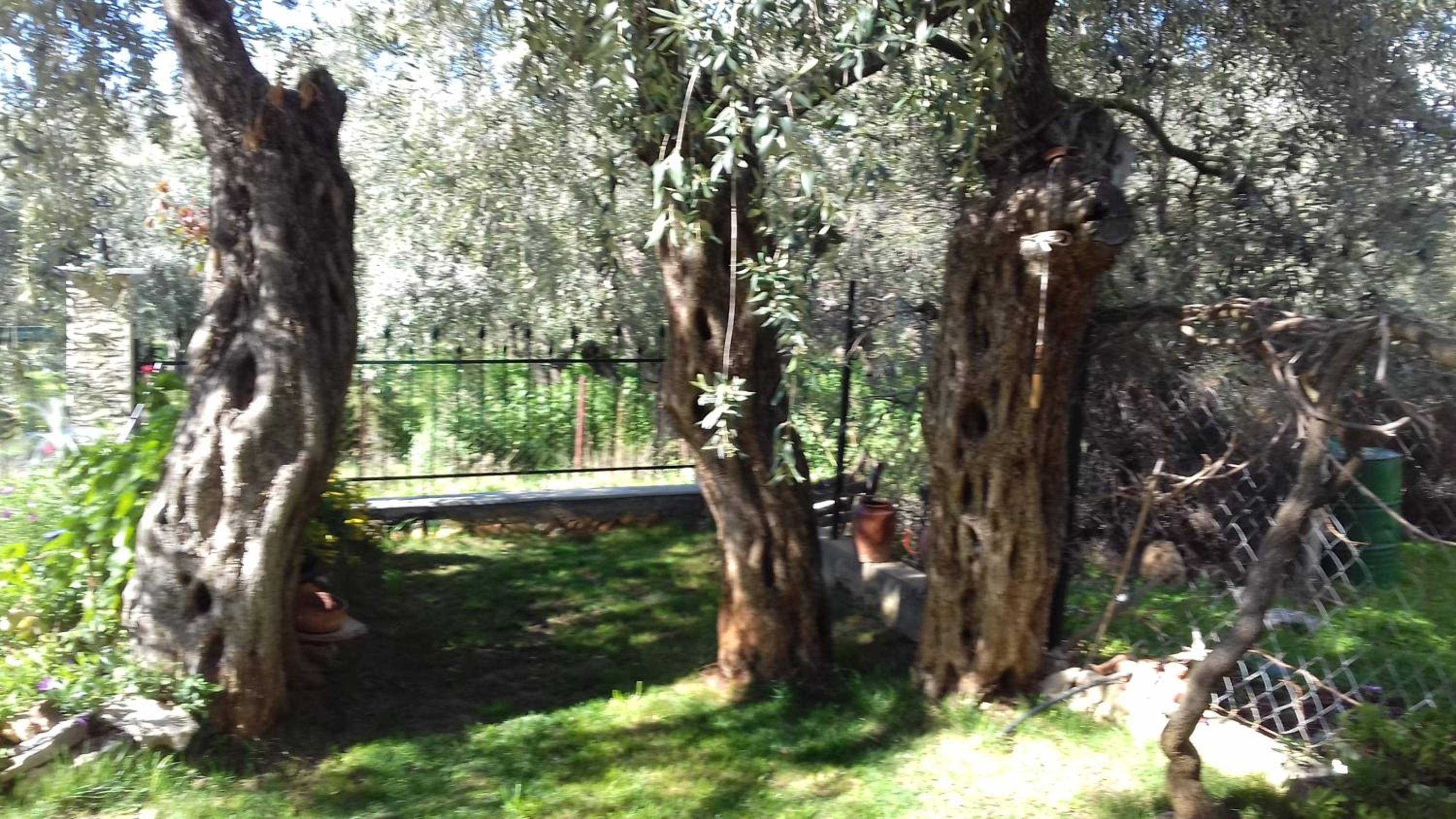 SUN GARDEN
