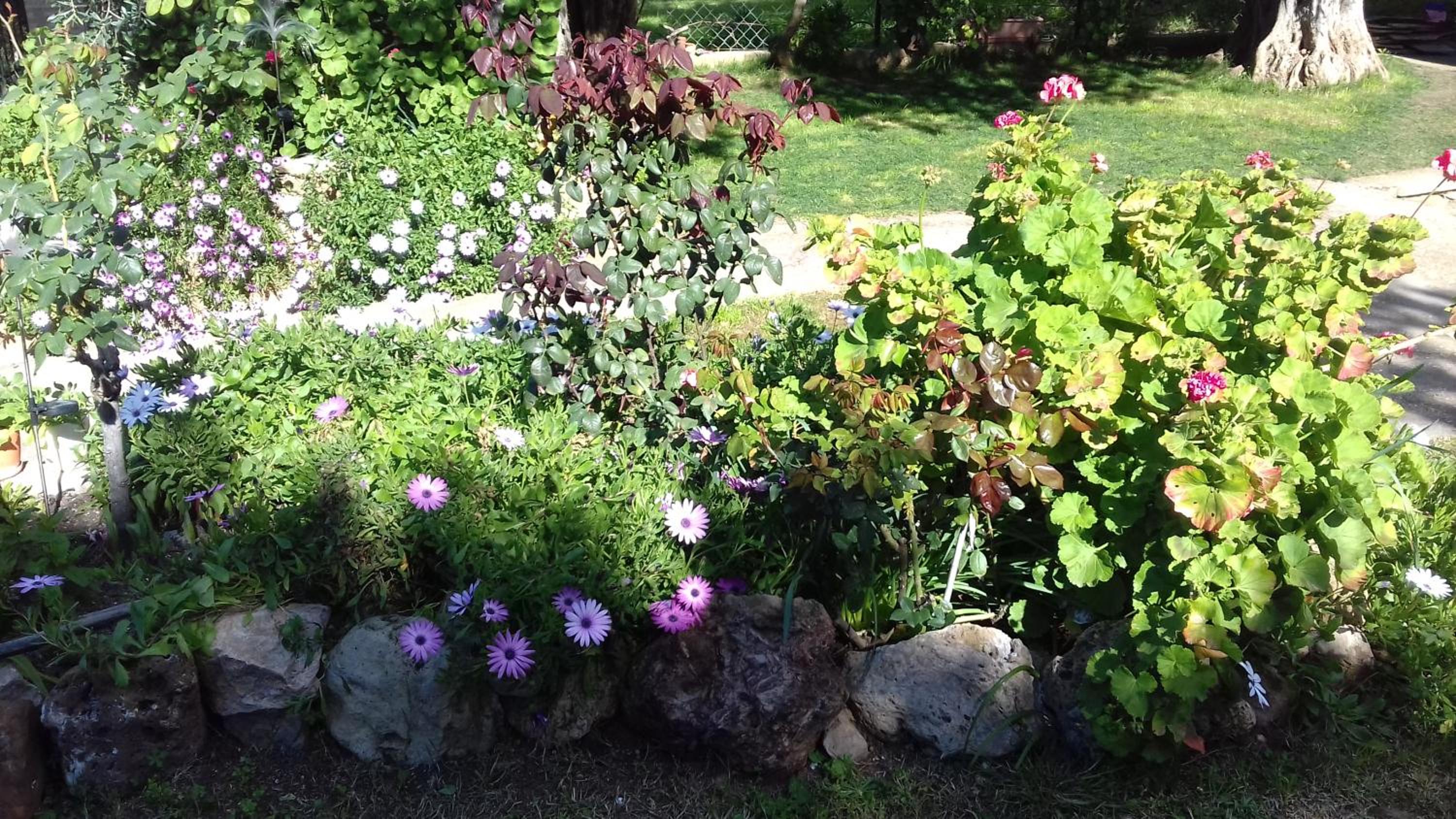 SUN GARDEN