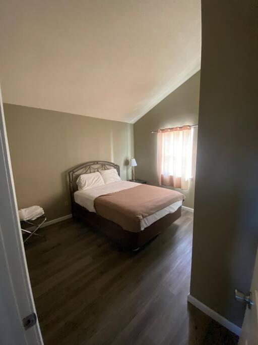 Lakeshore-Bachelor/Bachelorette Parties welcomed!